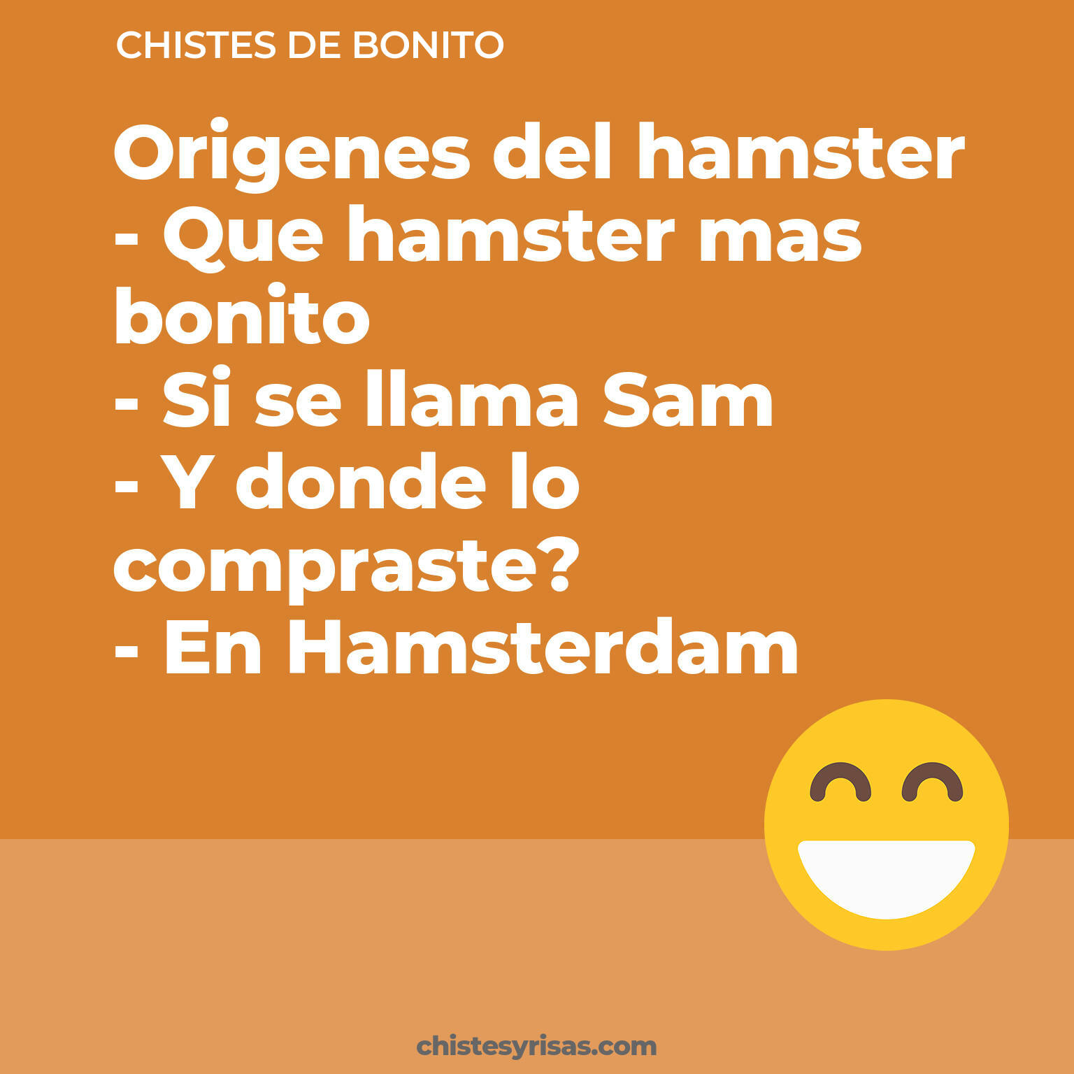 chistes de Bonito cortos