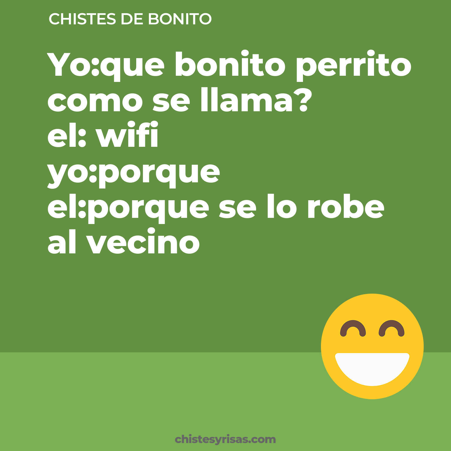 chistes de Bonito buenos