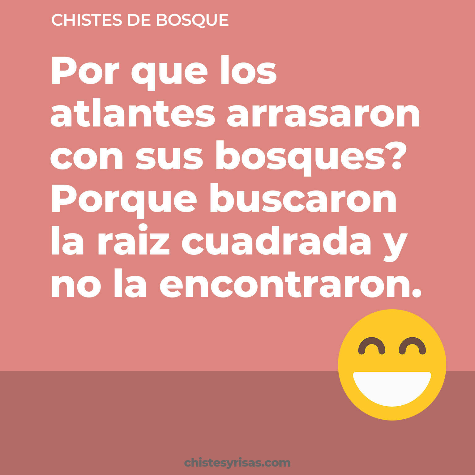 chistes de Bosque buenos