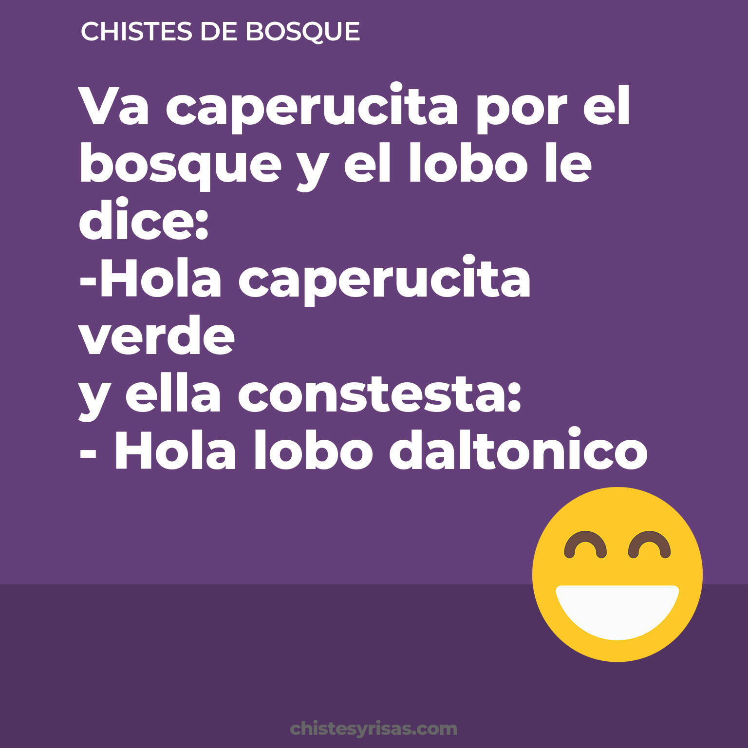 chistes de Bosque cortos