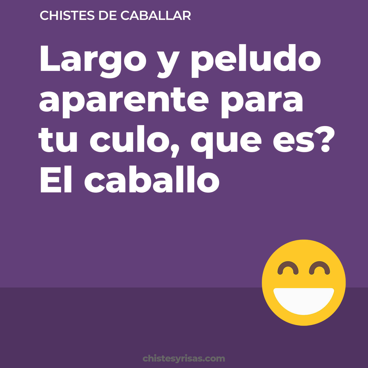 chistes de Caballar más graciosos