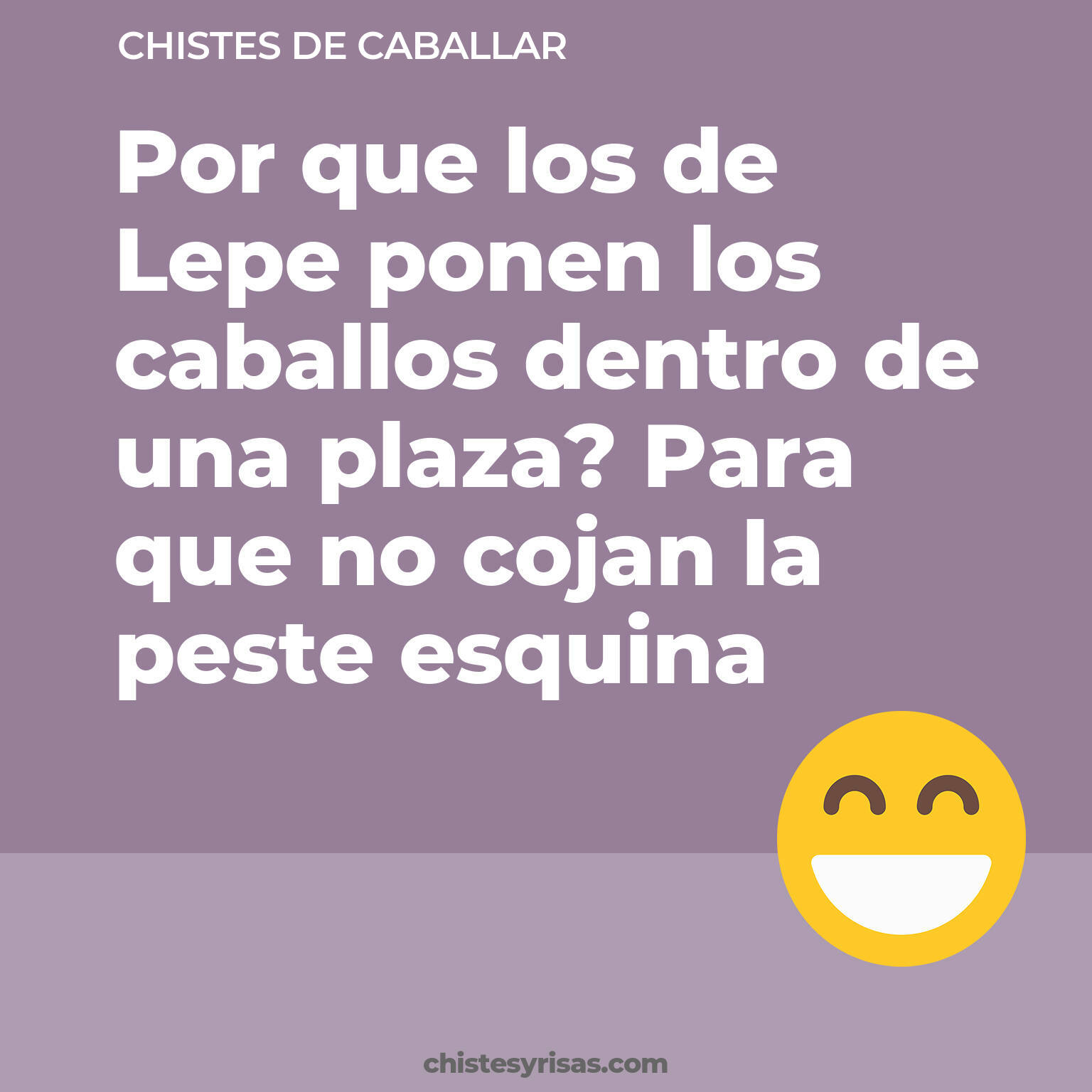 chistes de Caballar buenos