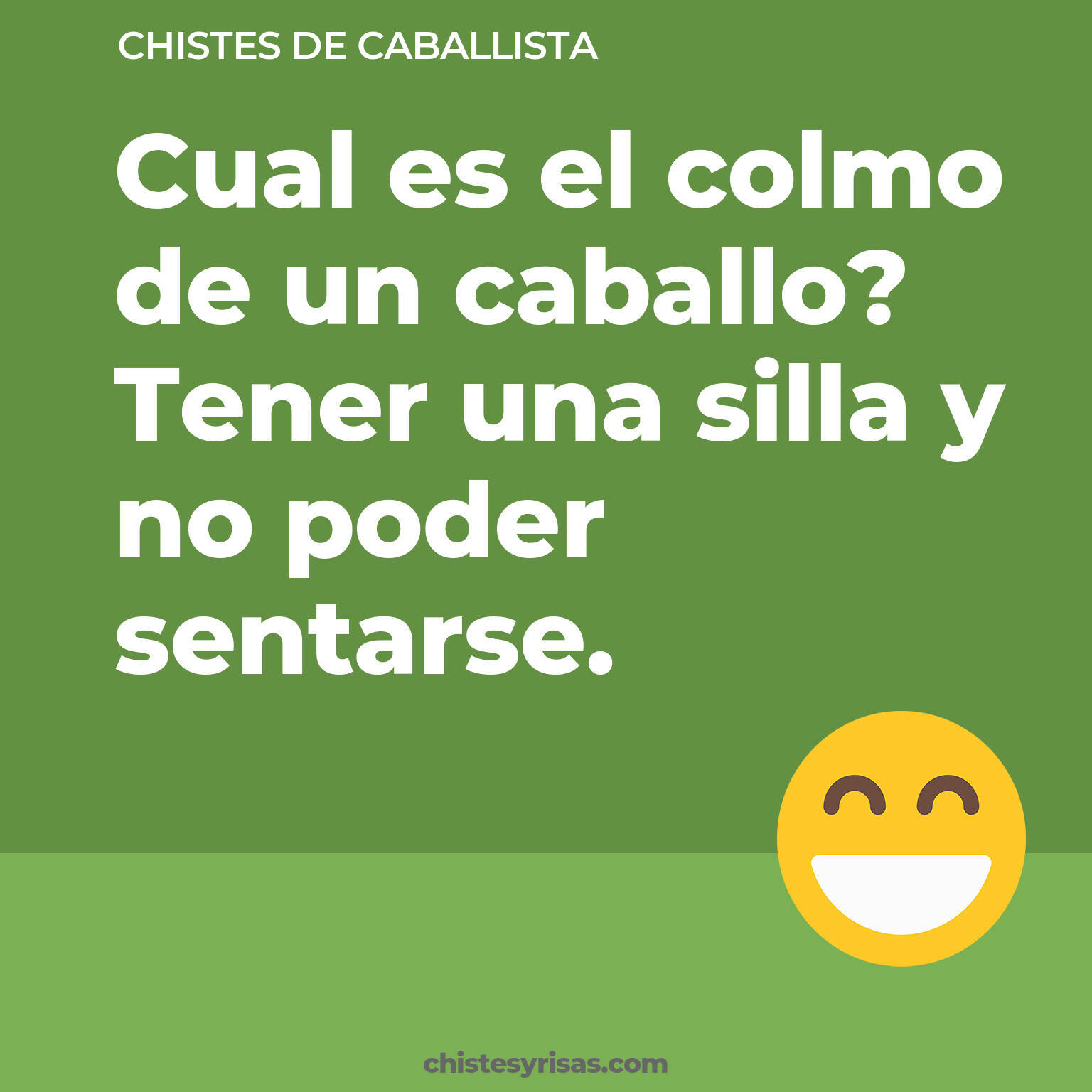 chistes de Caballista cortos