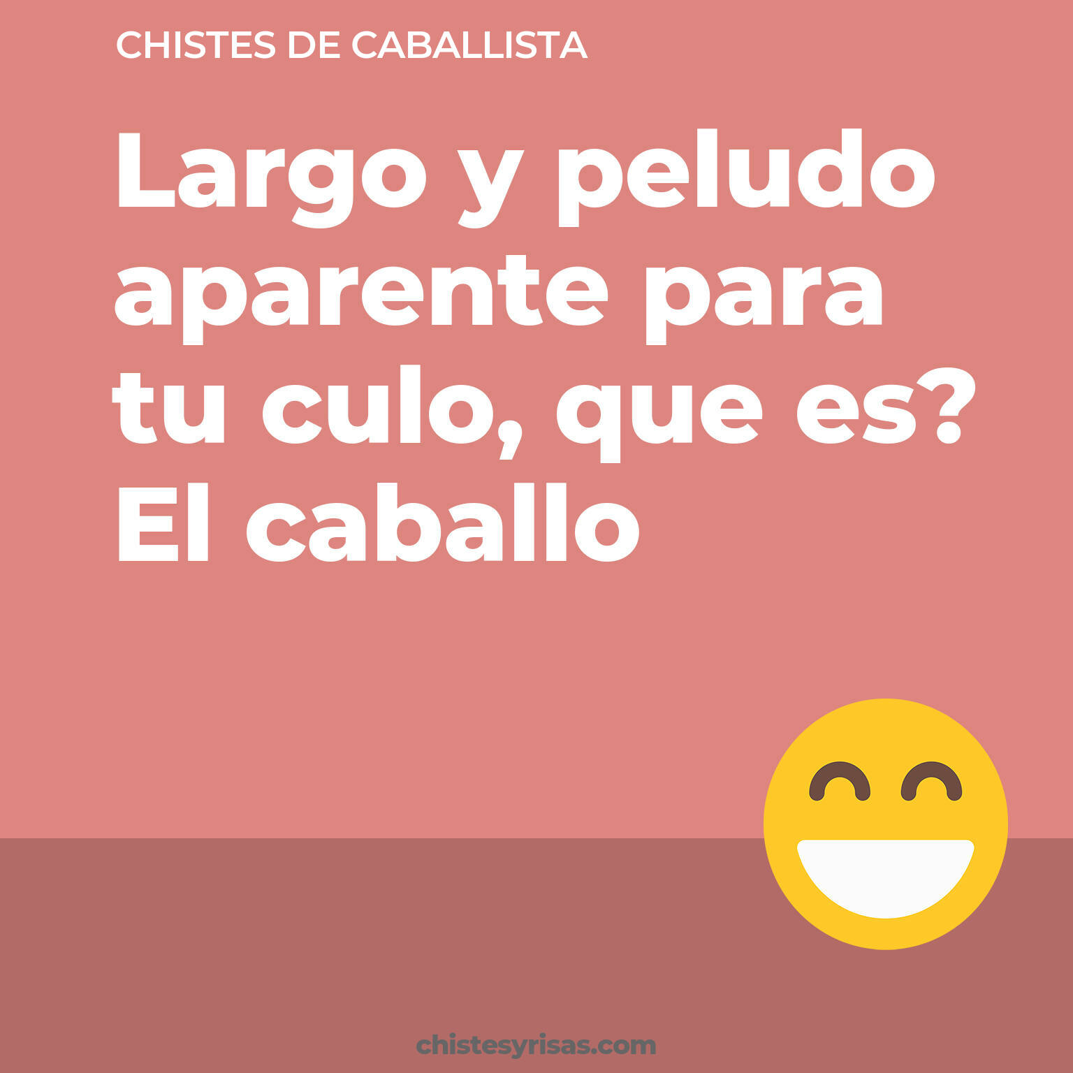 chistes de Caballista más graciosos