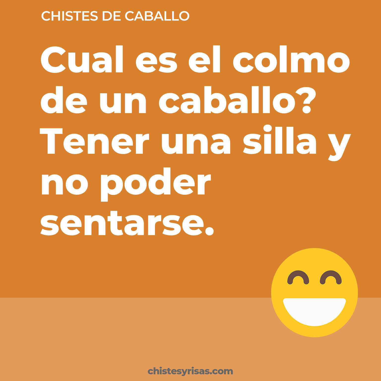 chistes de Caballo cortos