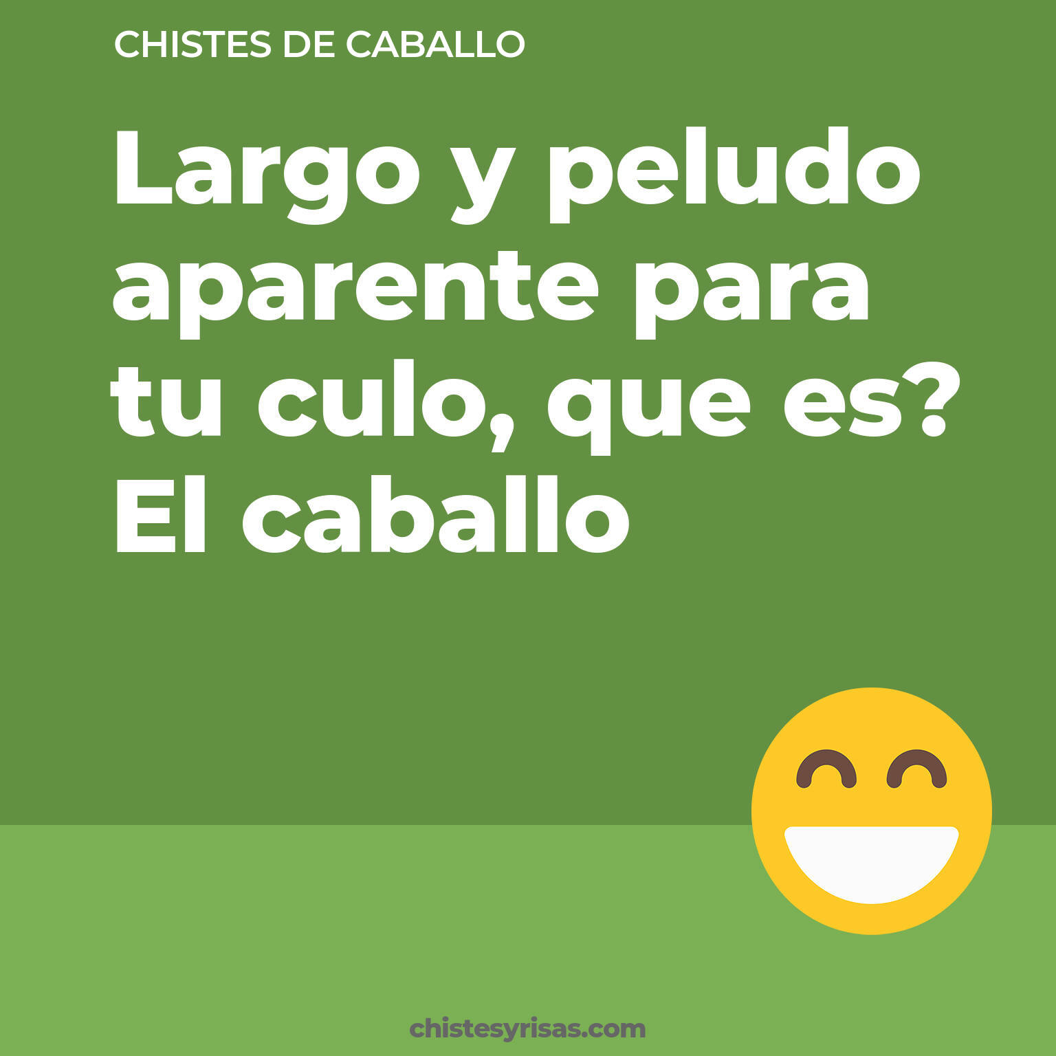 chistes de Caballo más graciosos