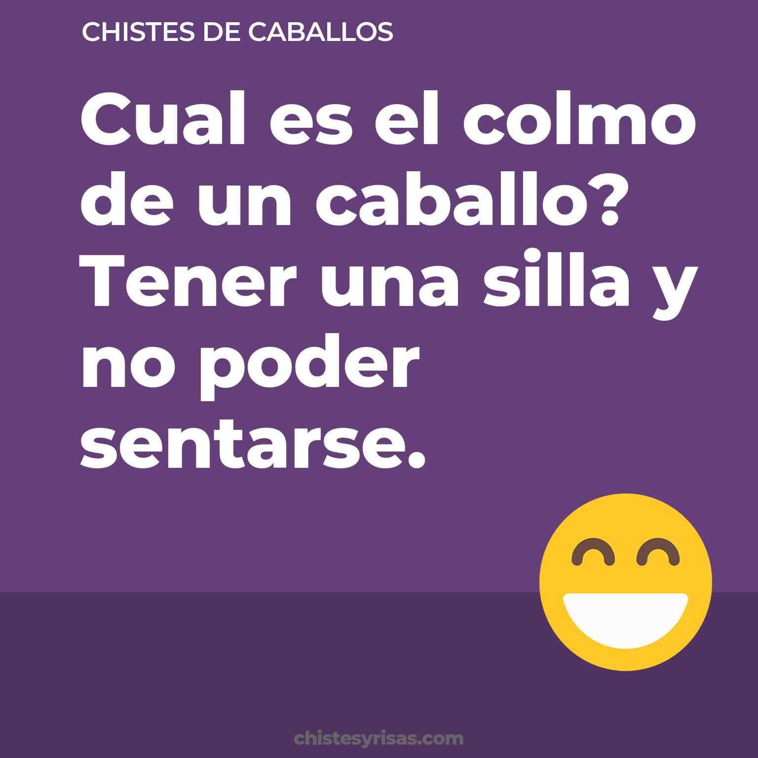 chistes de Caballos cortos