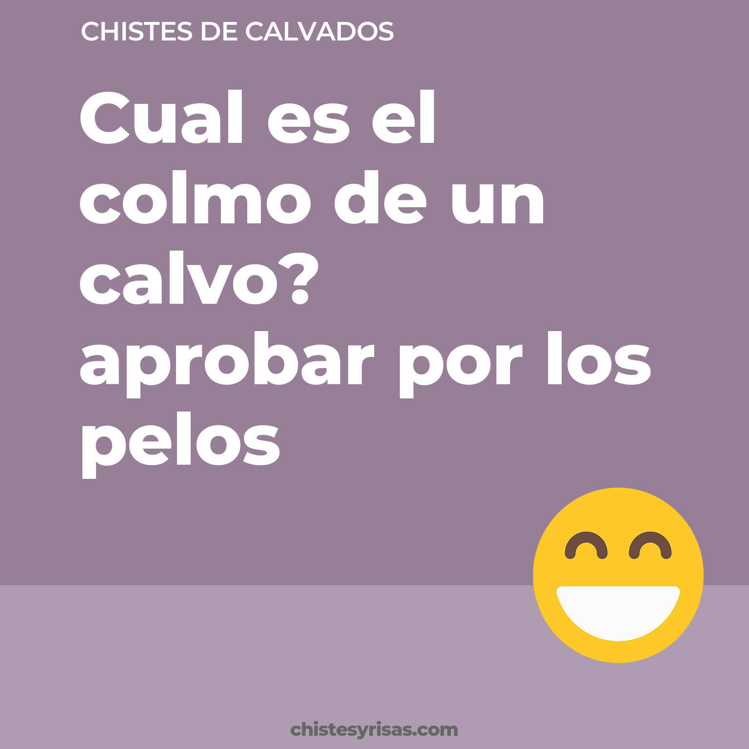 chistes de Calvados más graciosos