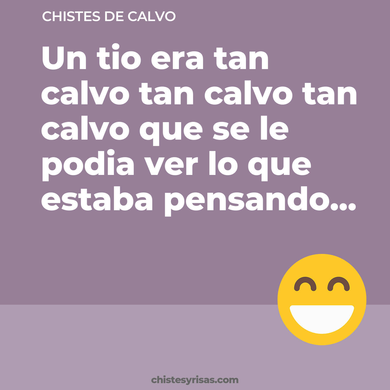 chistes de Calvo cortos