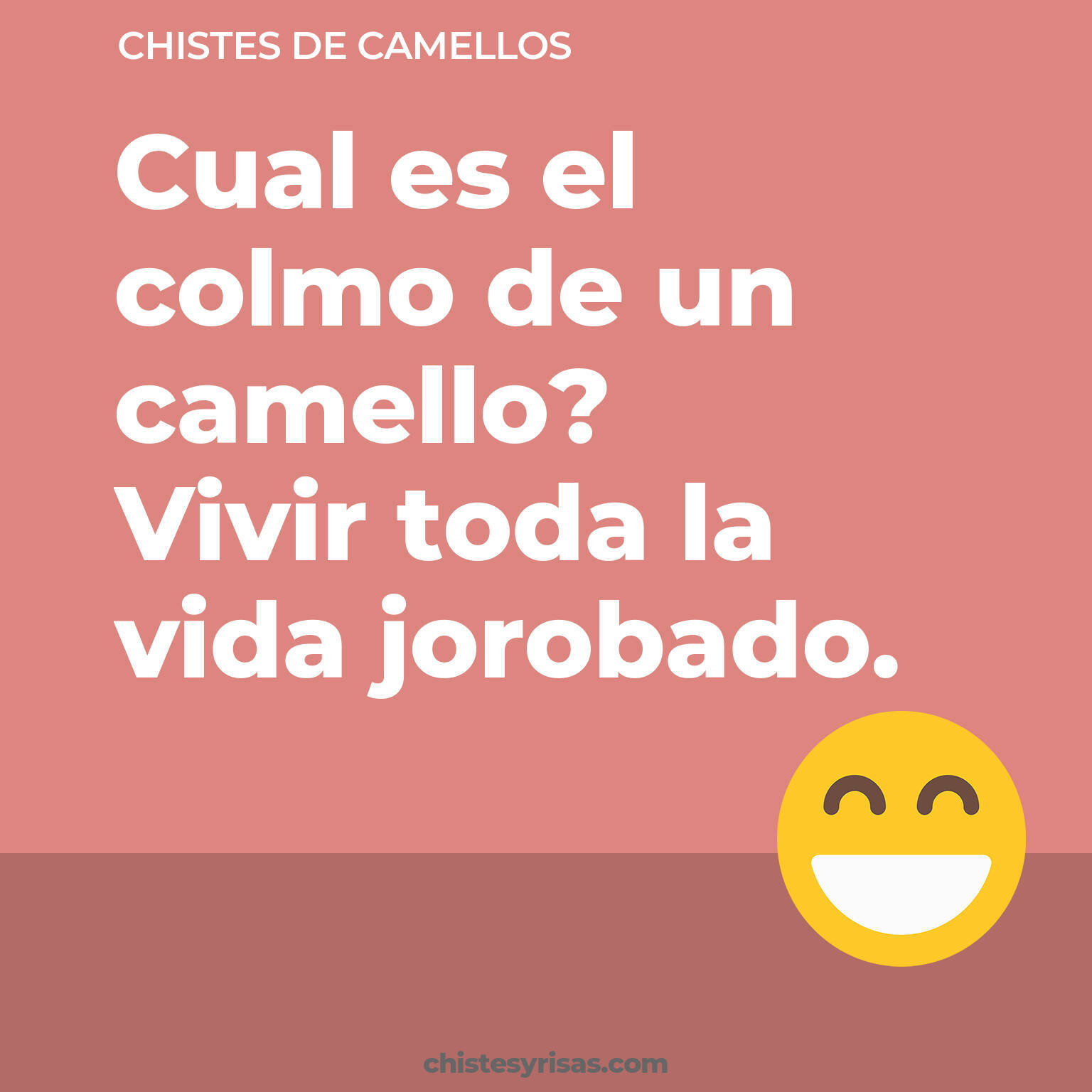 chistes de Camellos buenos