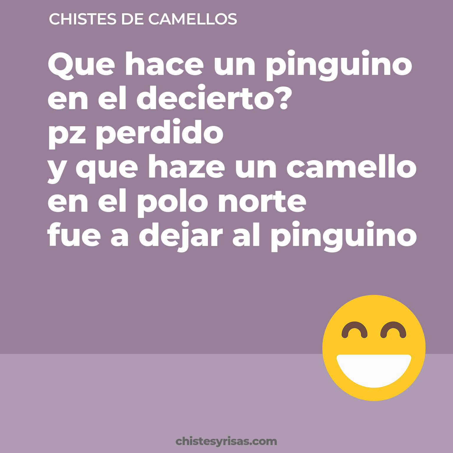 chistes de Camellos cortos