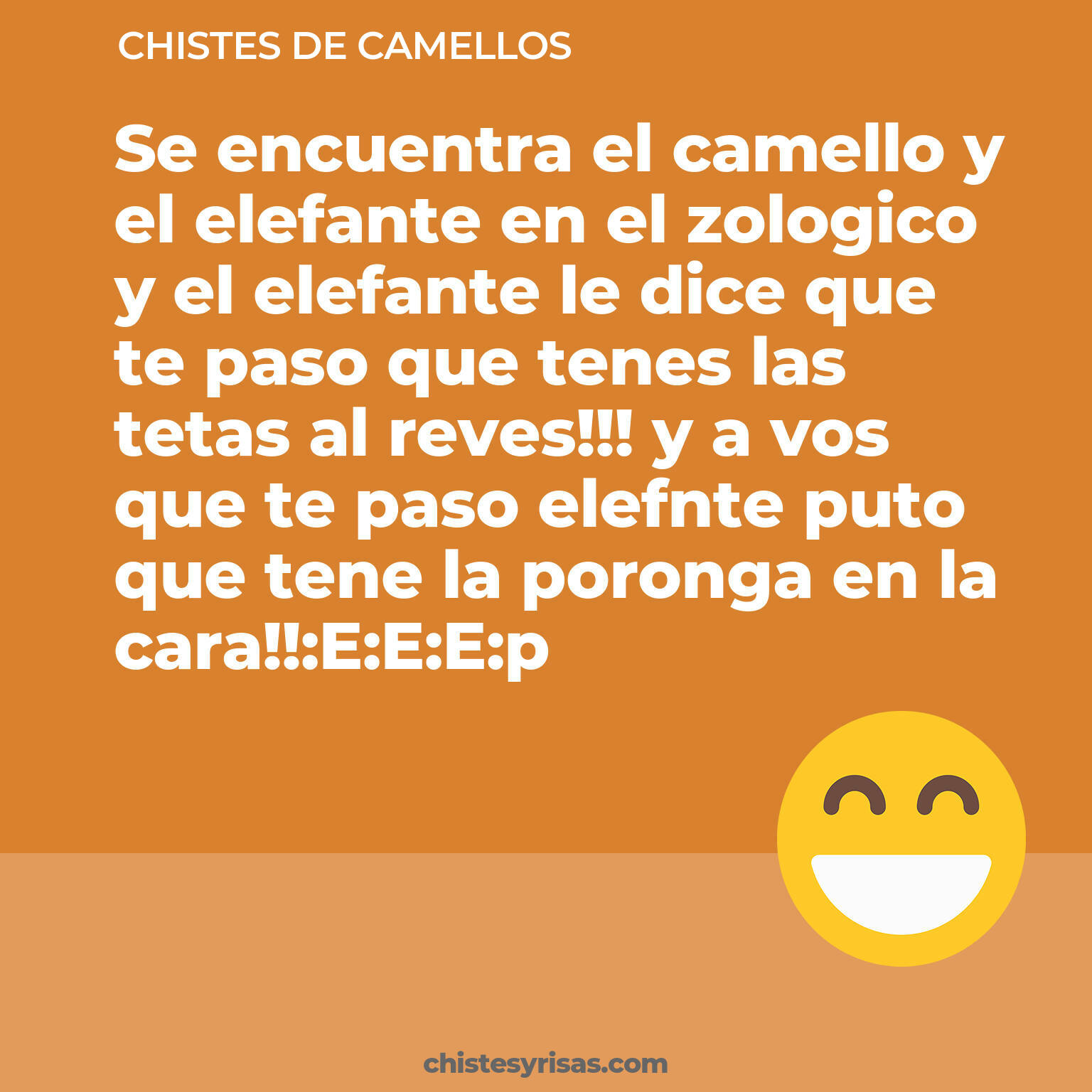 chistes de Camellos más graciosos