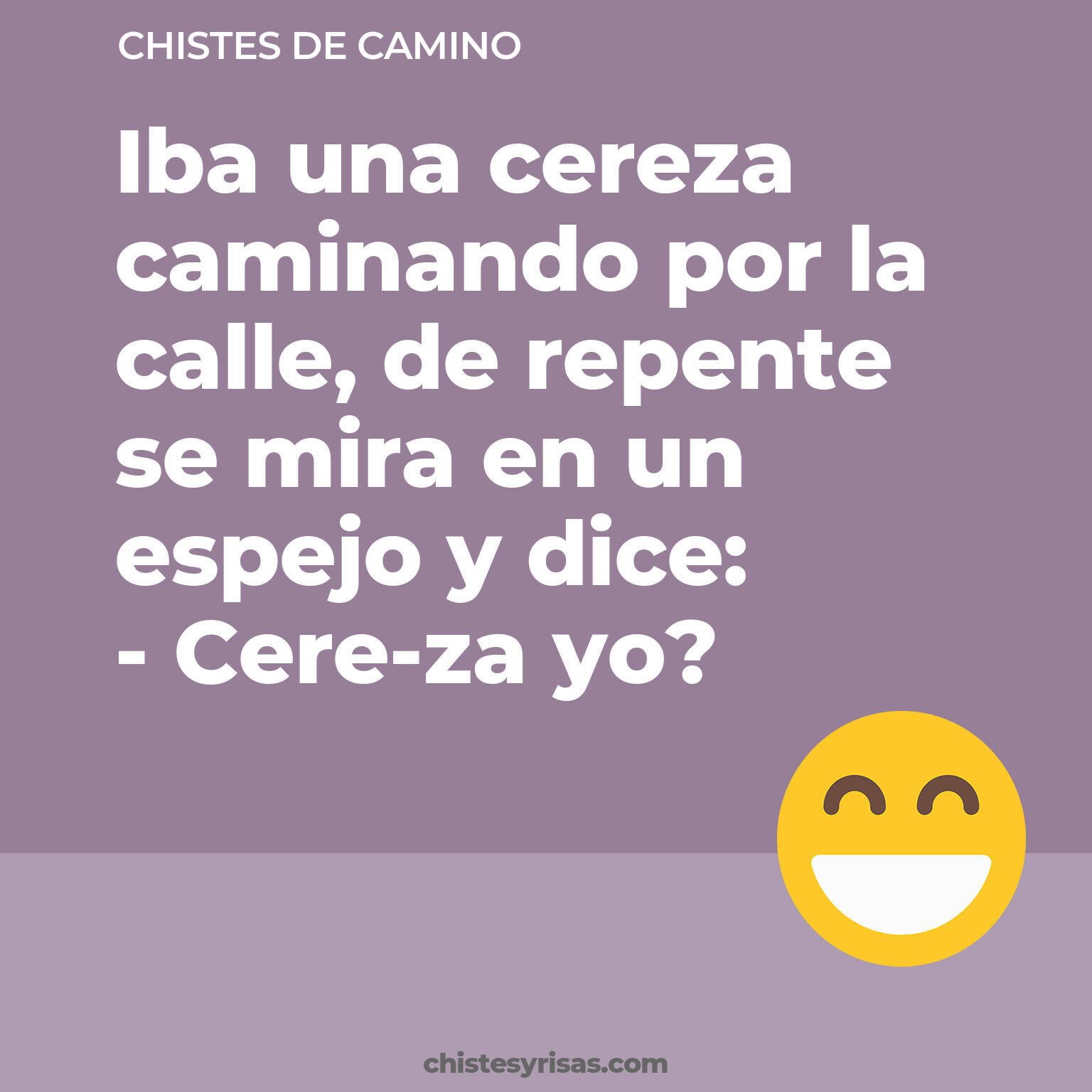 chistes de Camino cortos