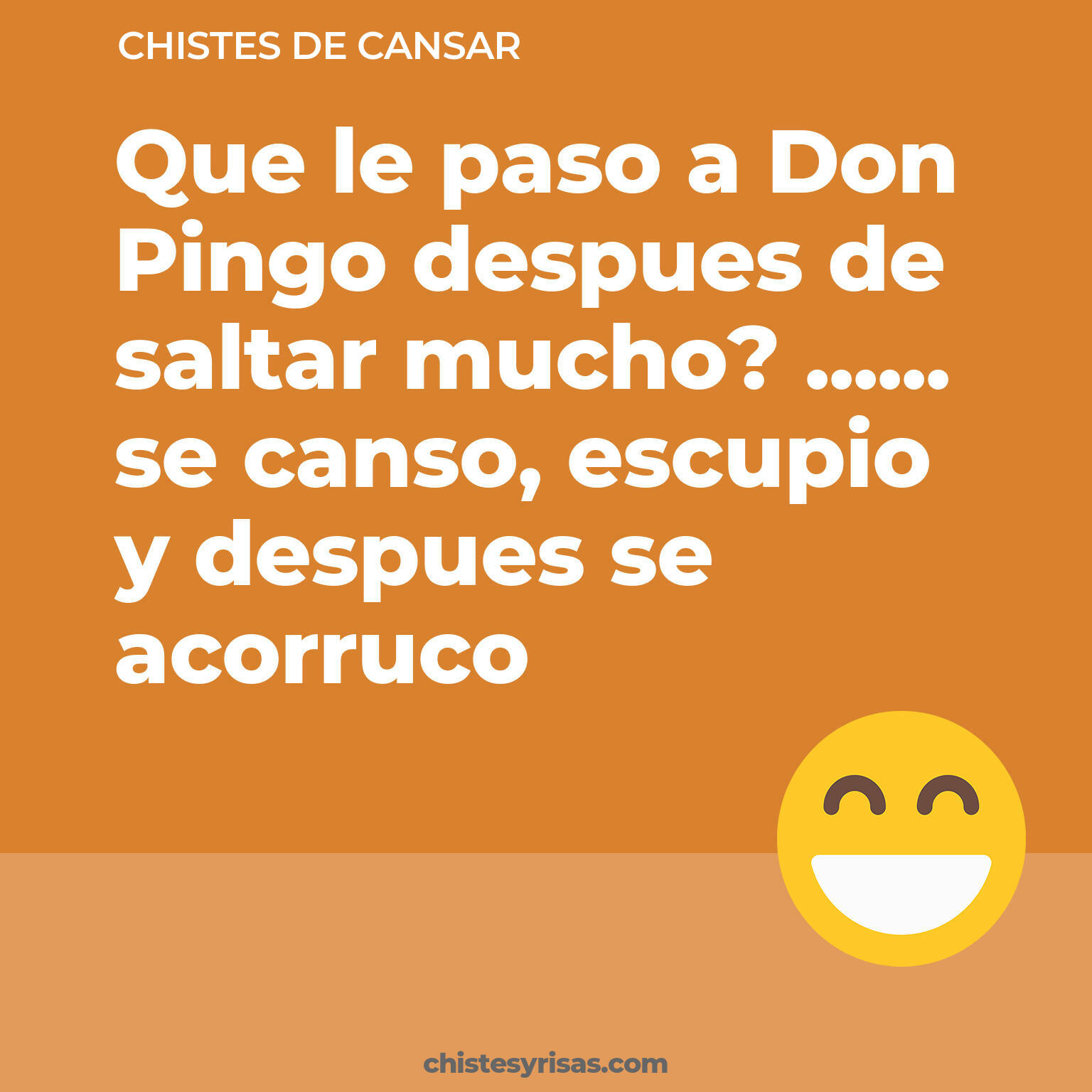 chistes de Cansar cortos