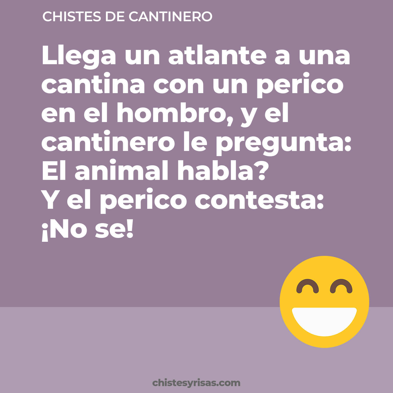 chistes de Cantinero cortos