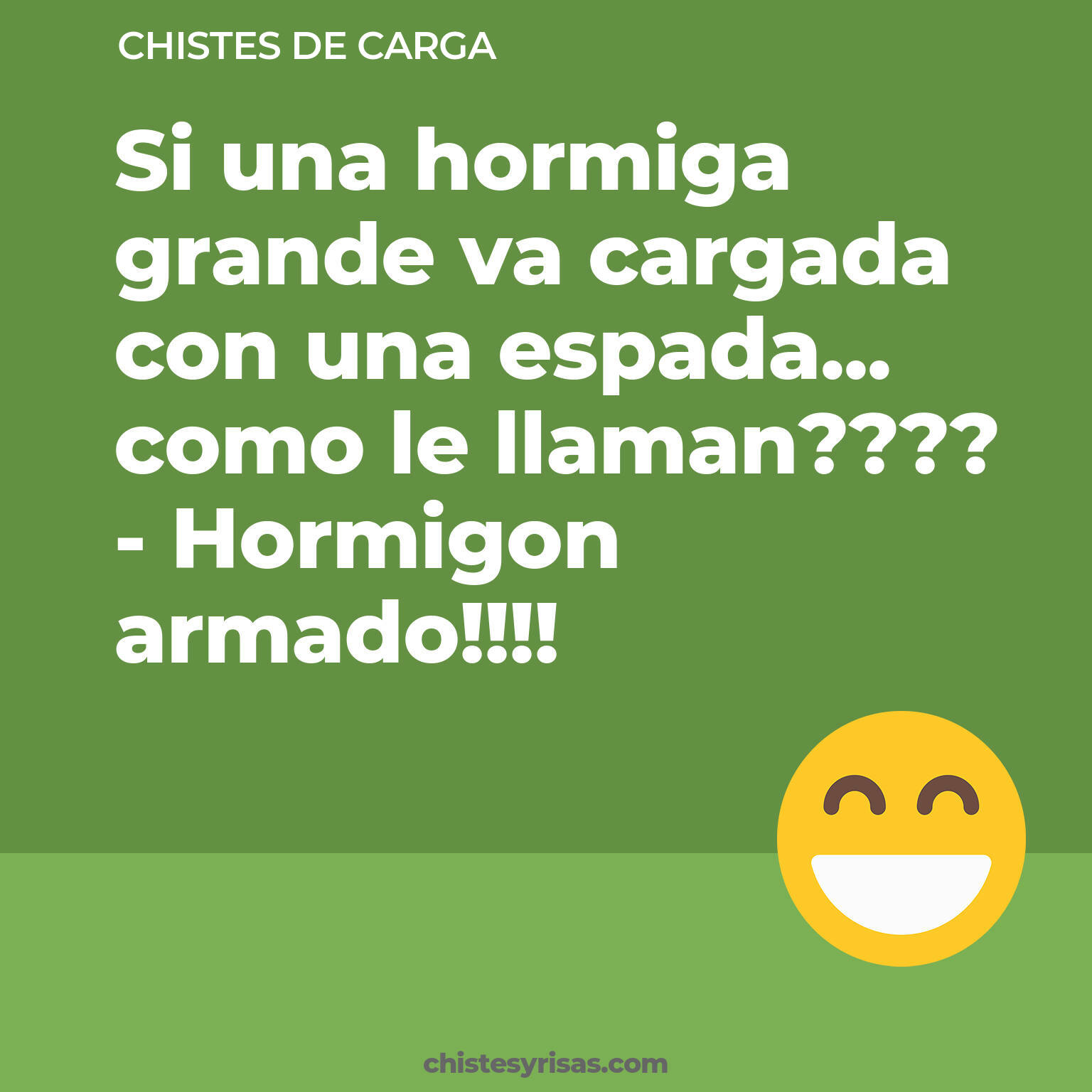 chistes de Carga más graciosos