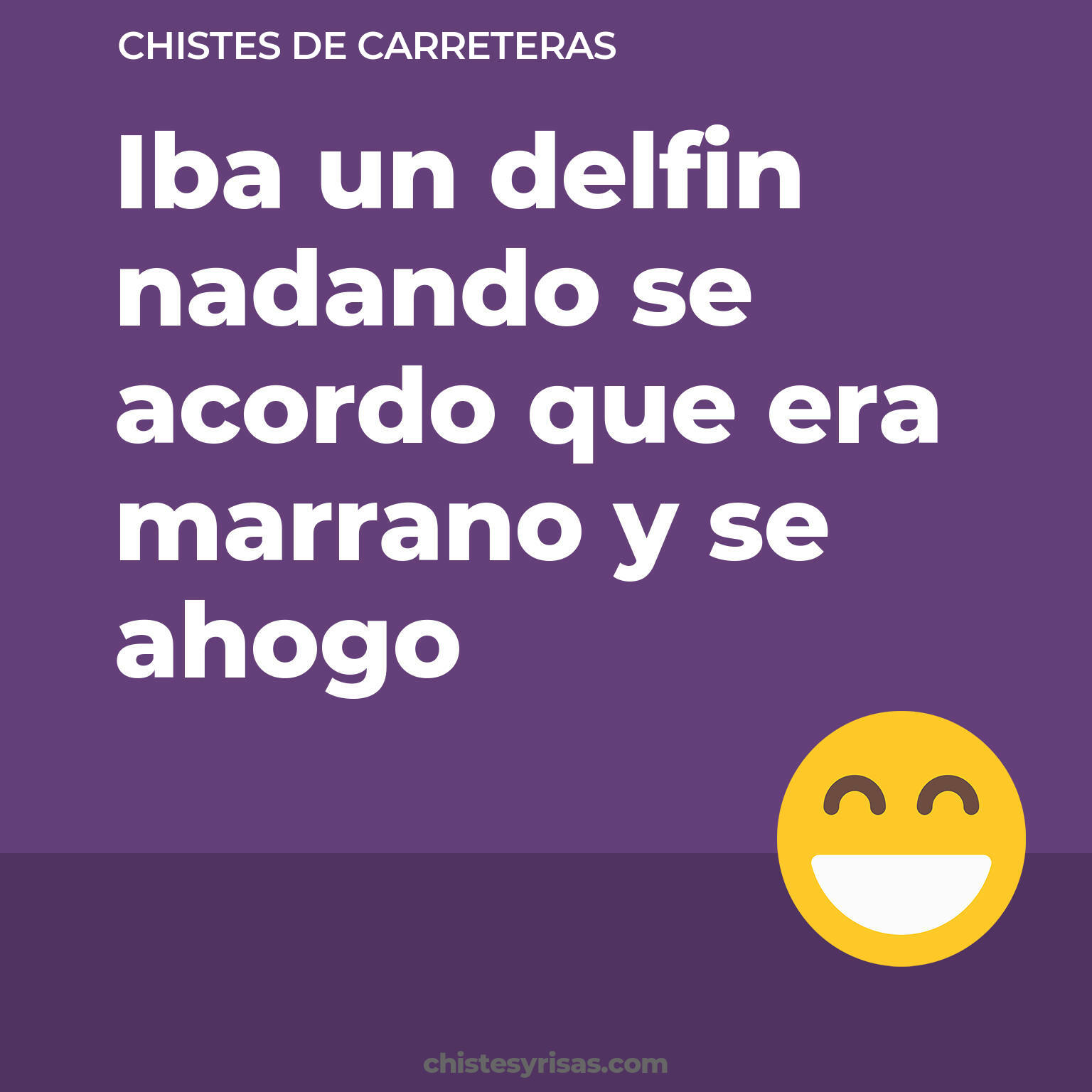 chistes de Carreteras cortos