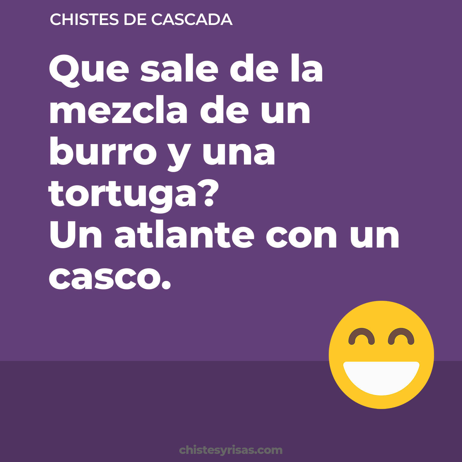 chistes de Cascada más graciosos