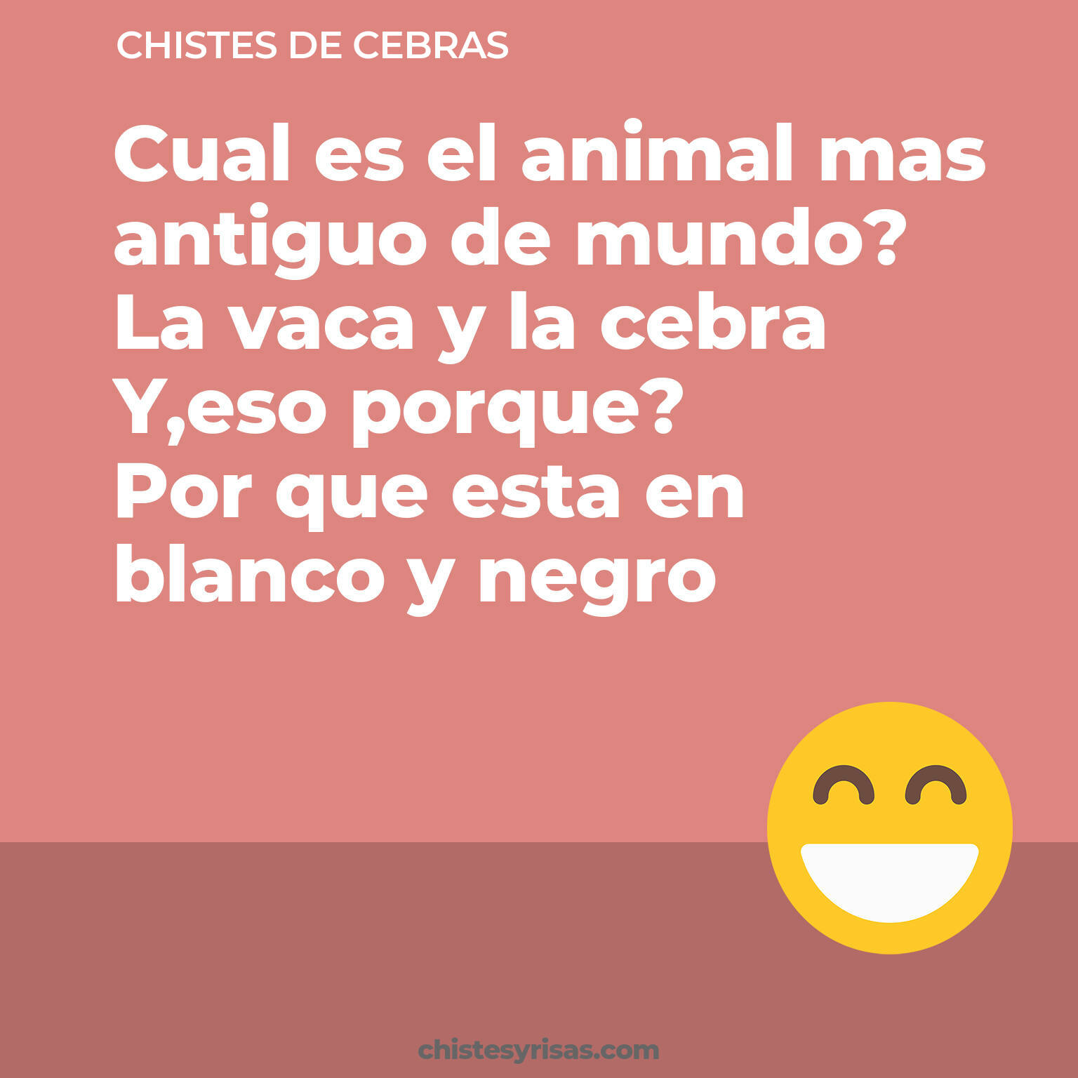 chistes de Cebras más graciosos