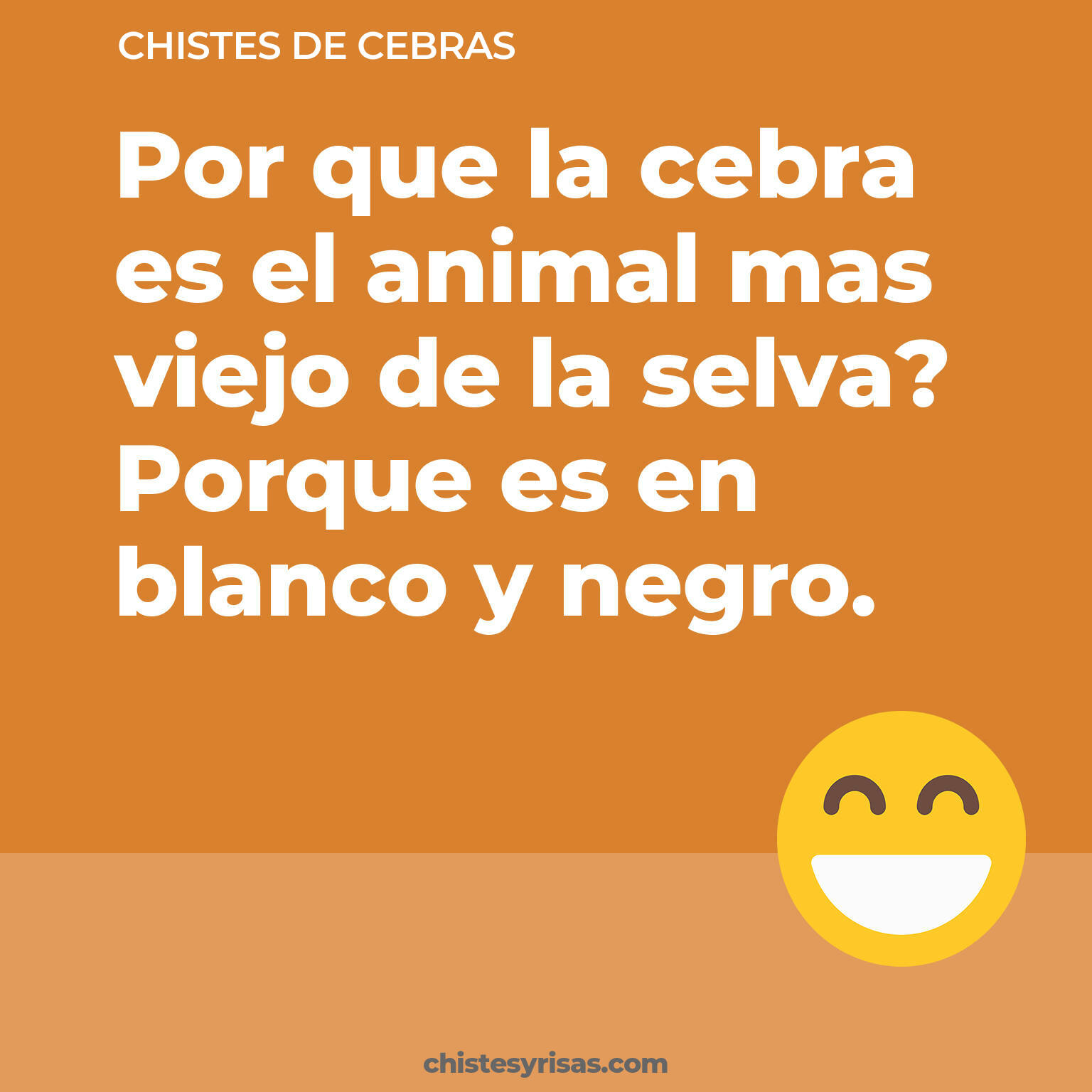 chistes de Cebras buenos