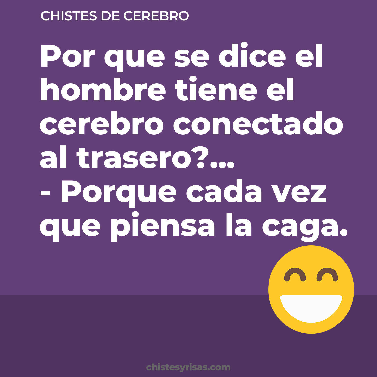 chistes de Cerebro buenos