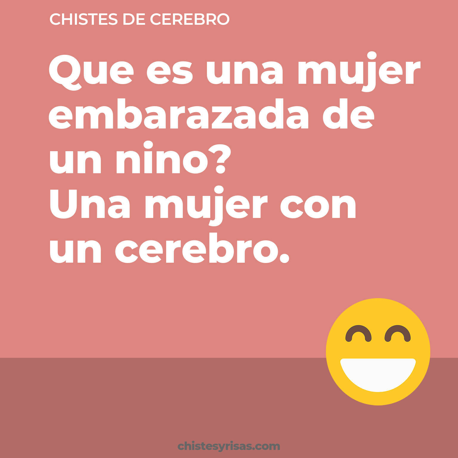 chistes de Cerebro cortos