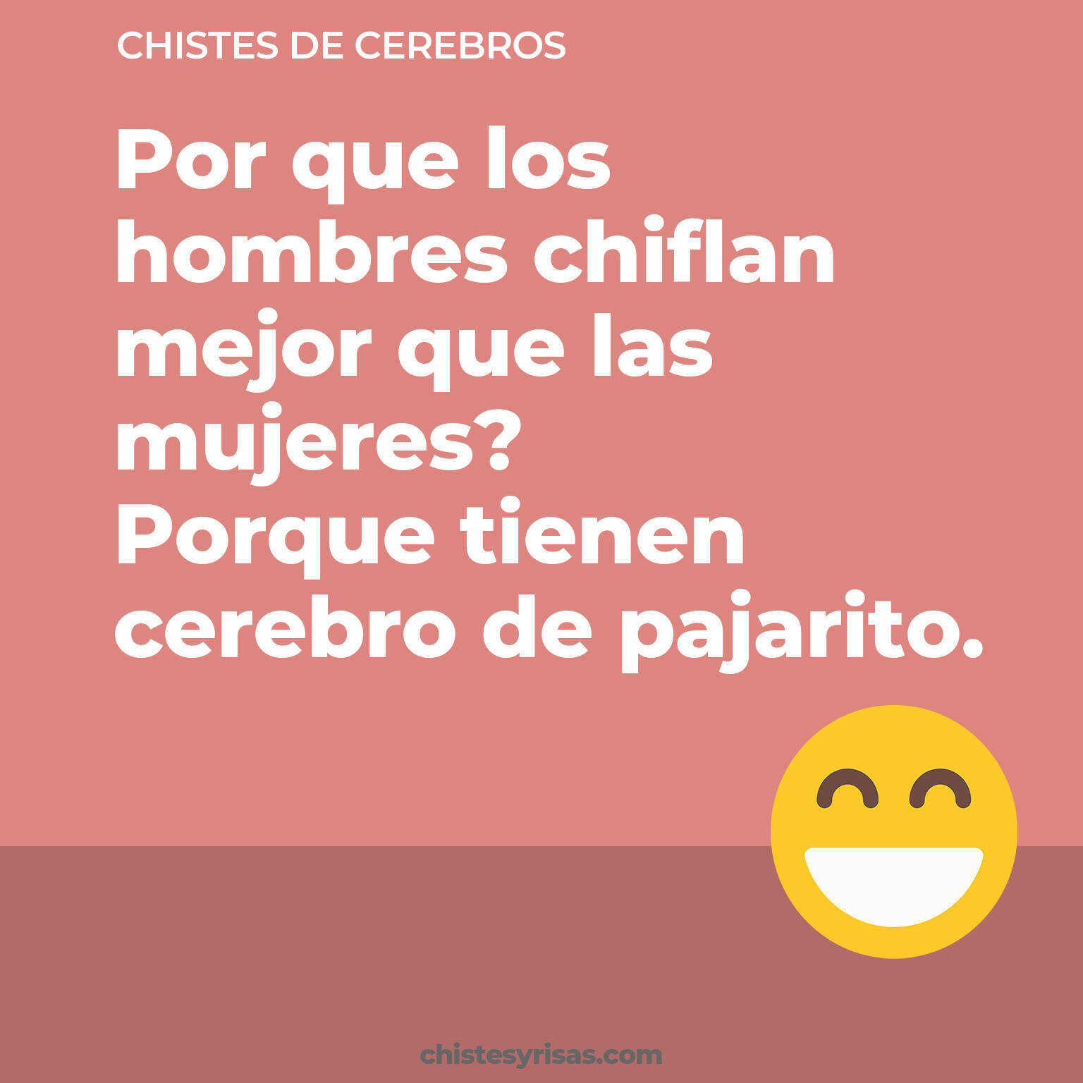 chistes de Cerebros más graciosos