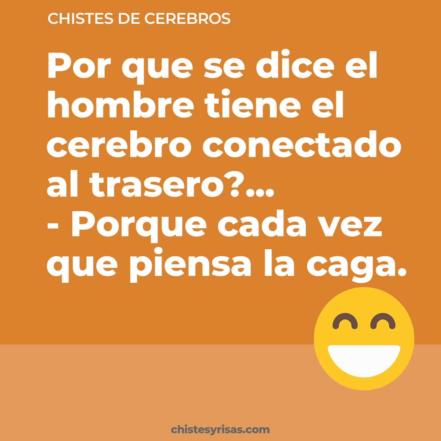 chistes de Cerebros buenos