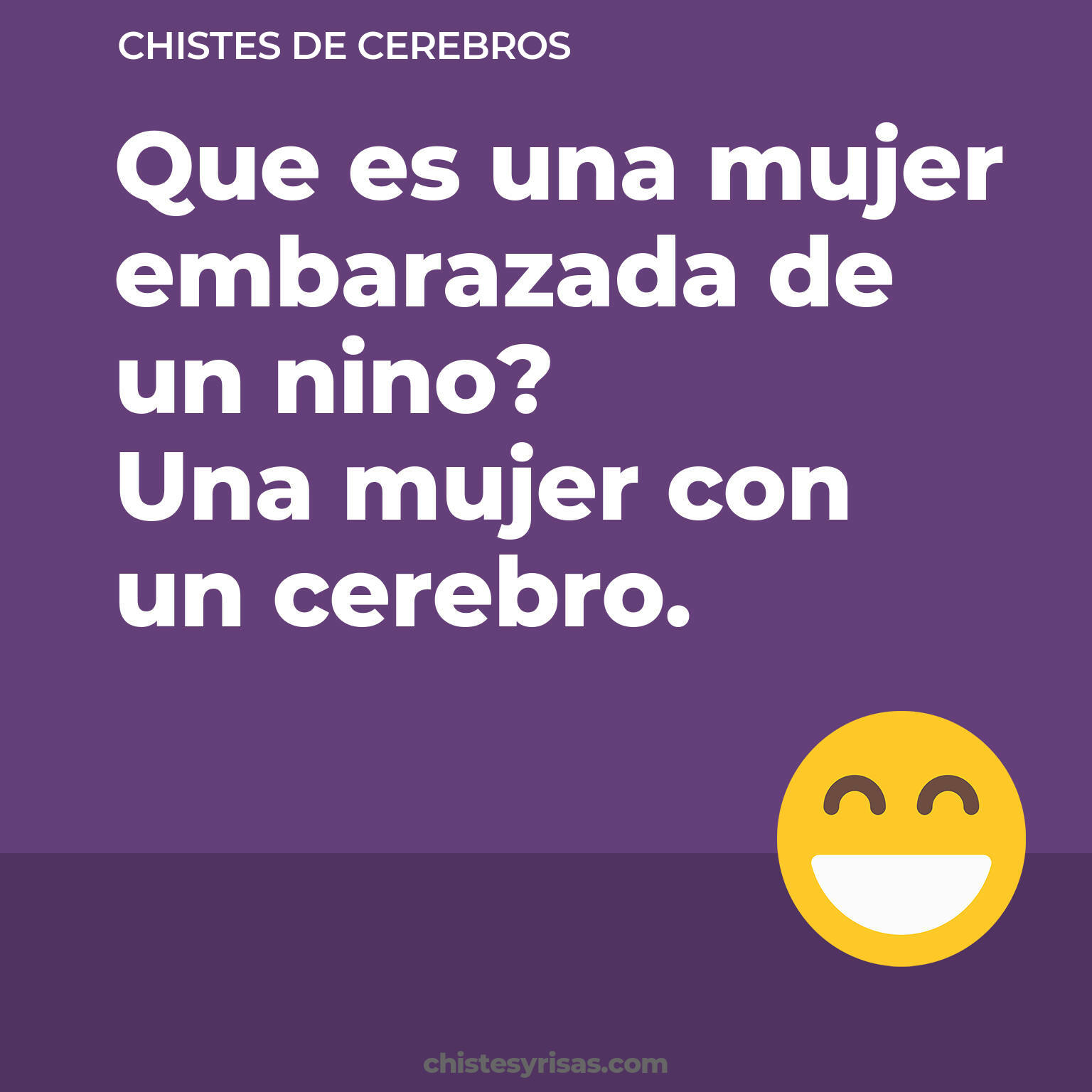 chistes de Cerebros cortos