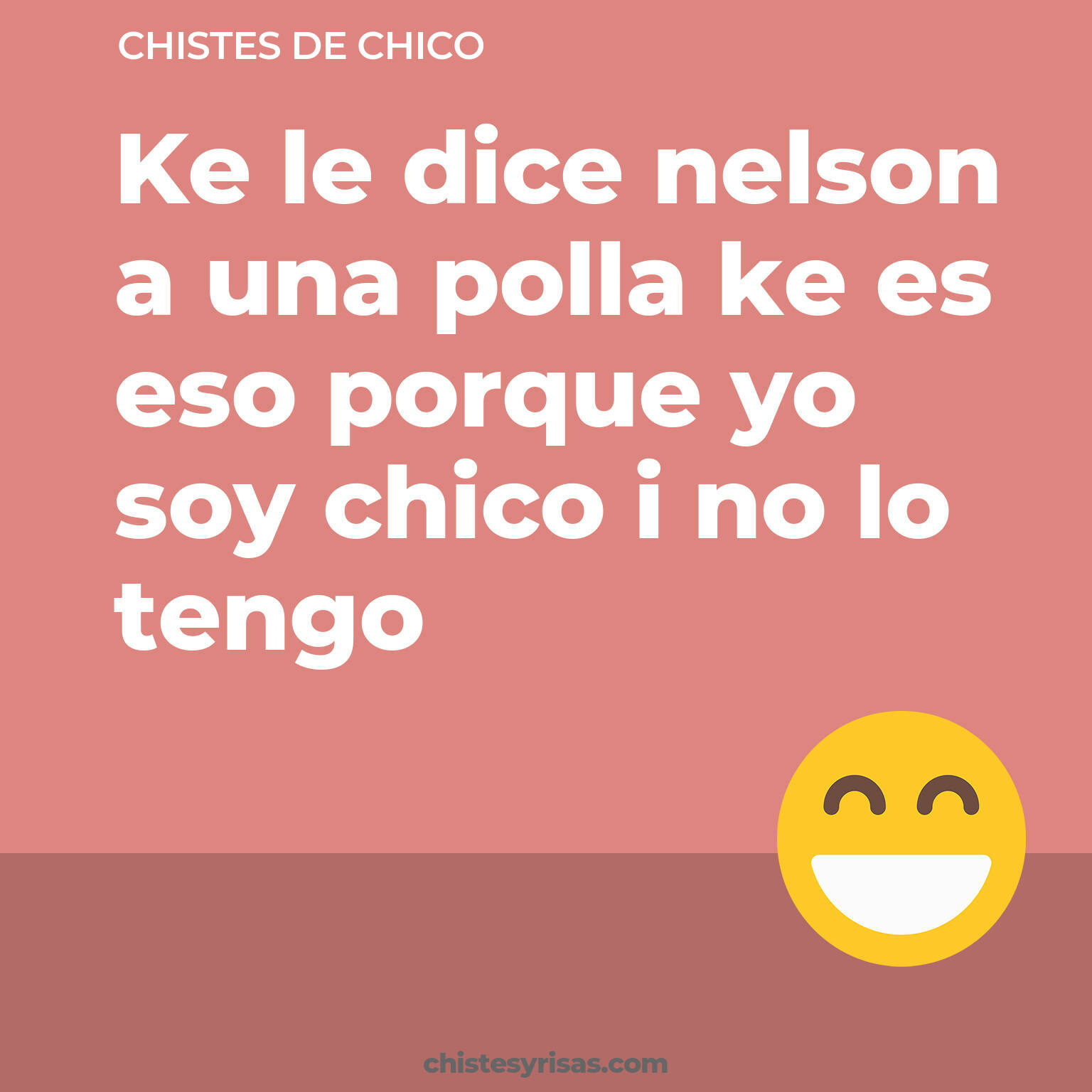 chistes de Chico cortos