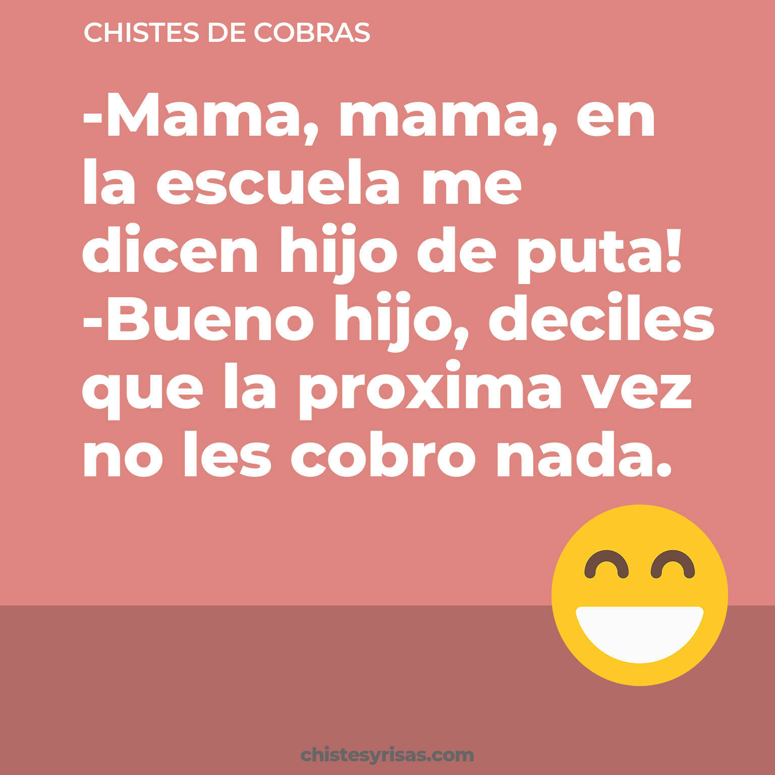 chistes de Cobras cortos