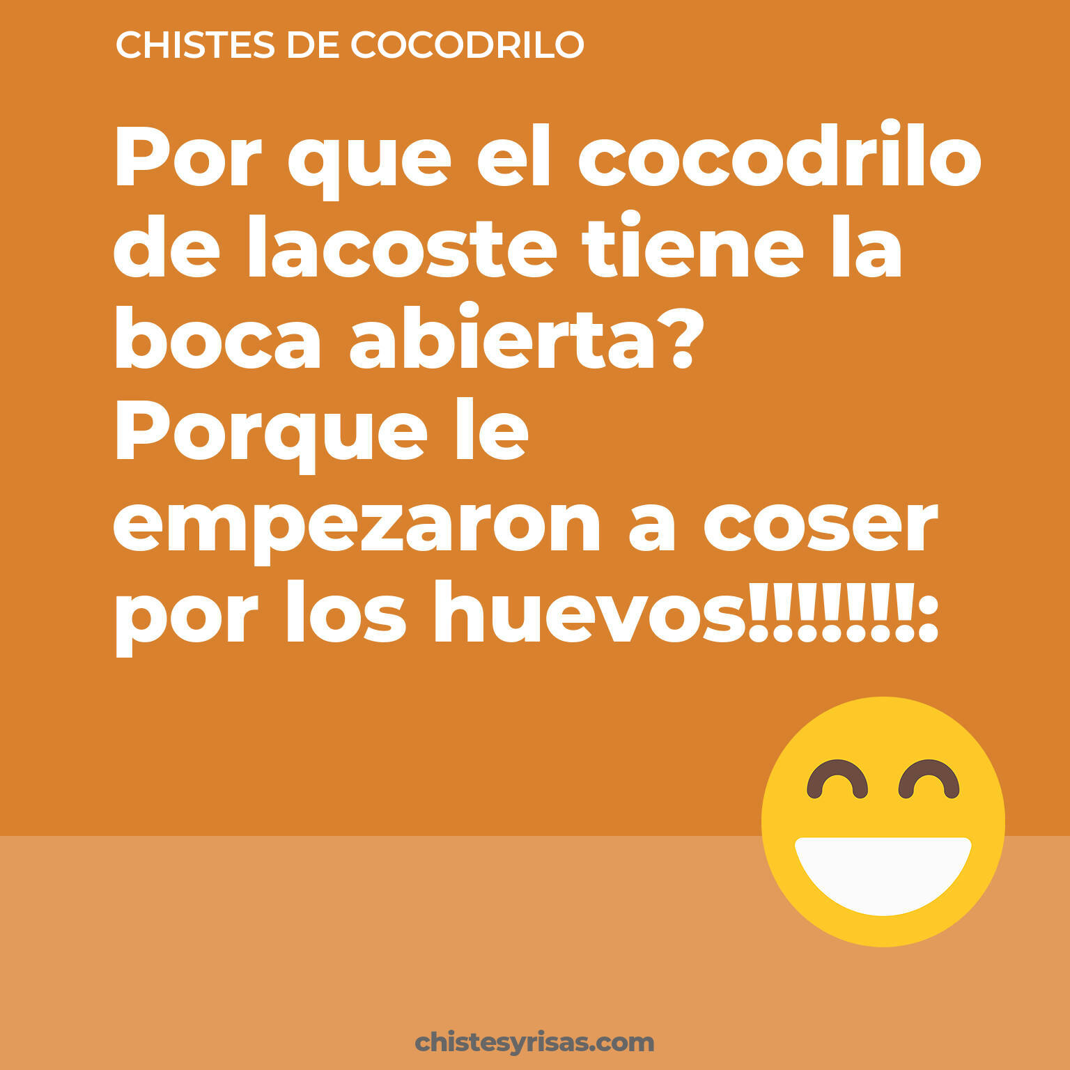 chistes de Cocodrilo cortos