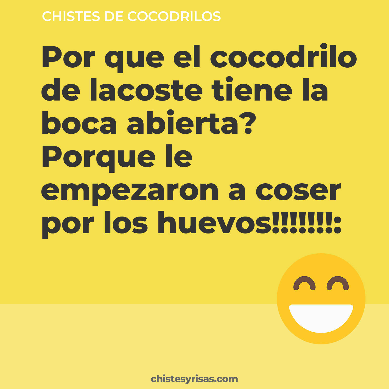 chistes de Cocodrilos cortos