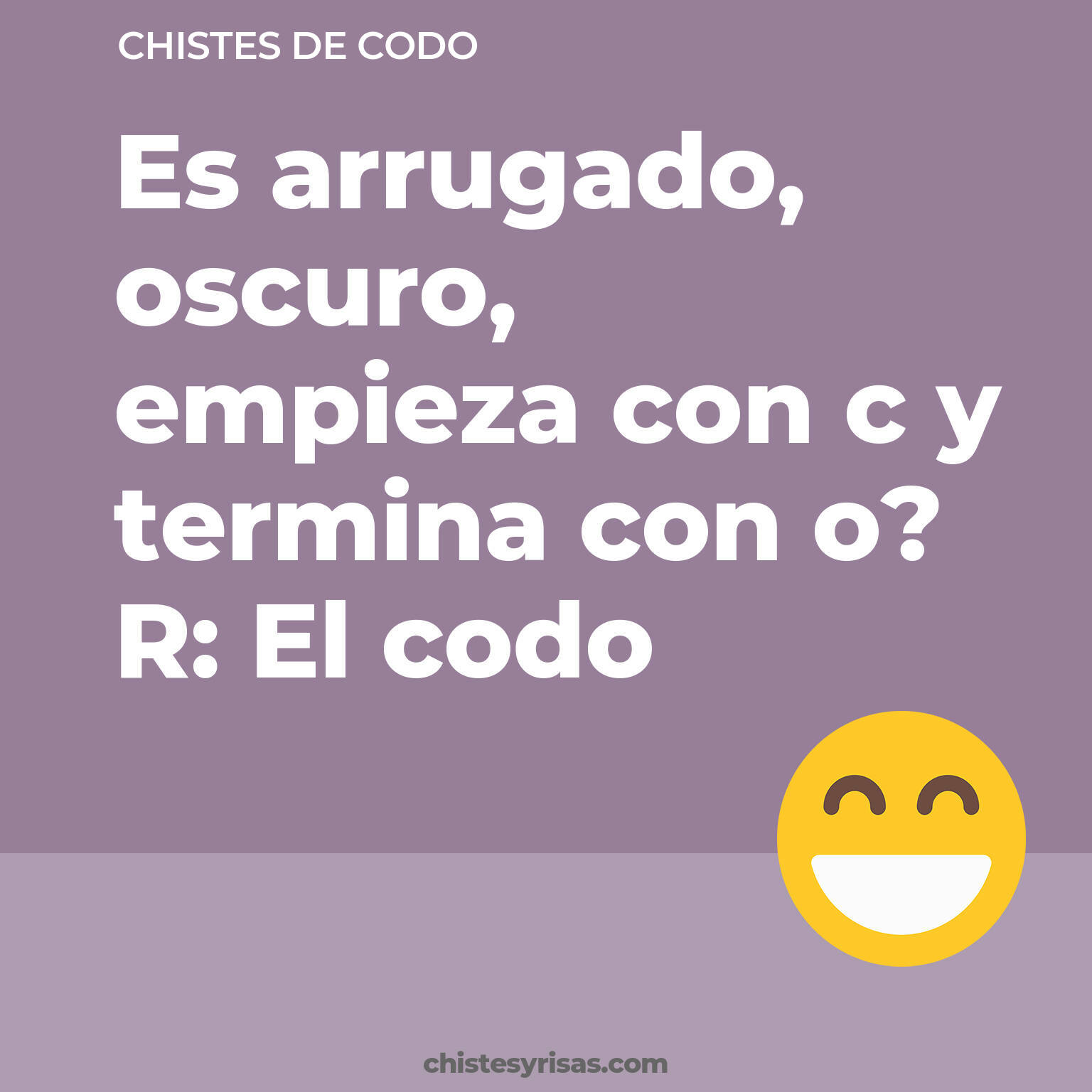 chistes de Codo buenos