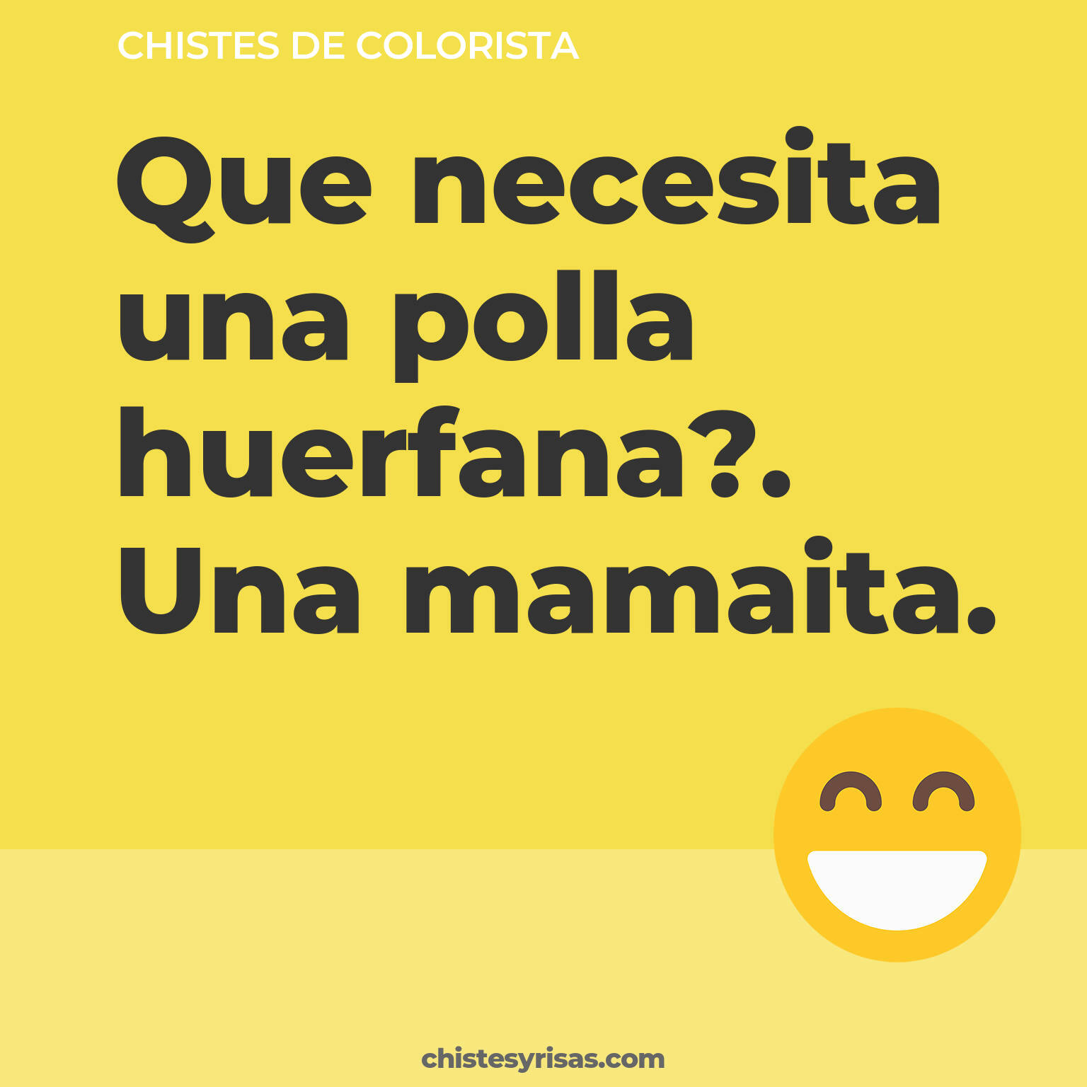 chistes de Colorista más graciosos