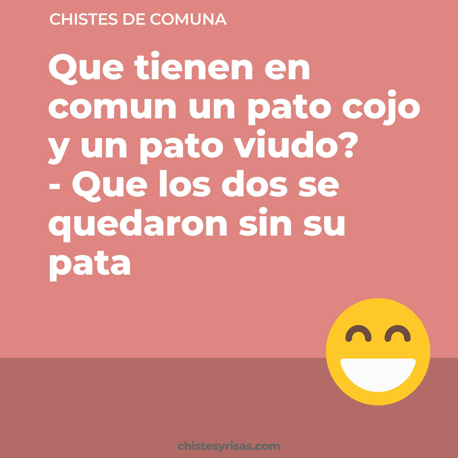 chistes de Comuna cortos