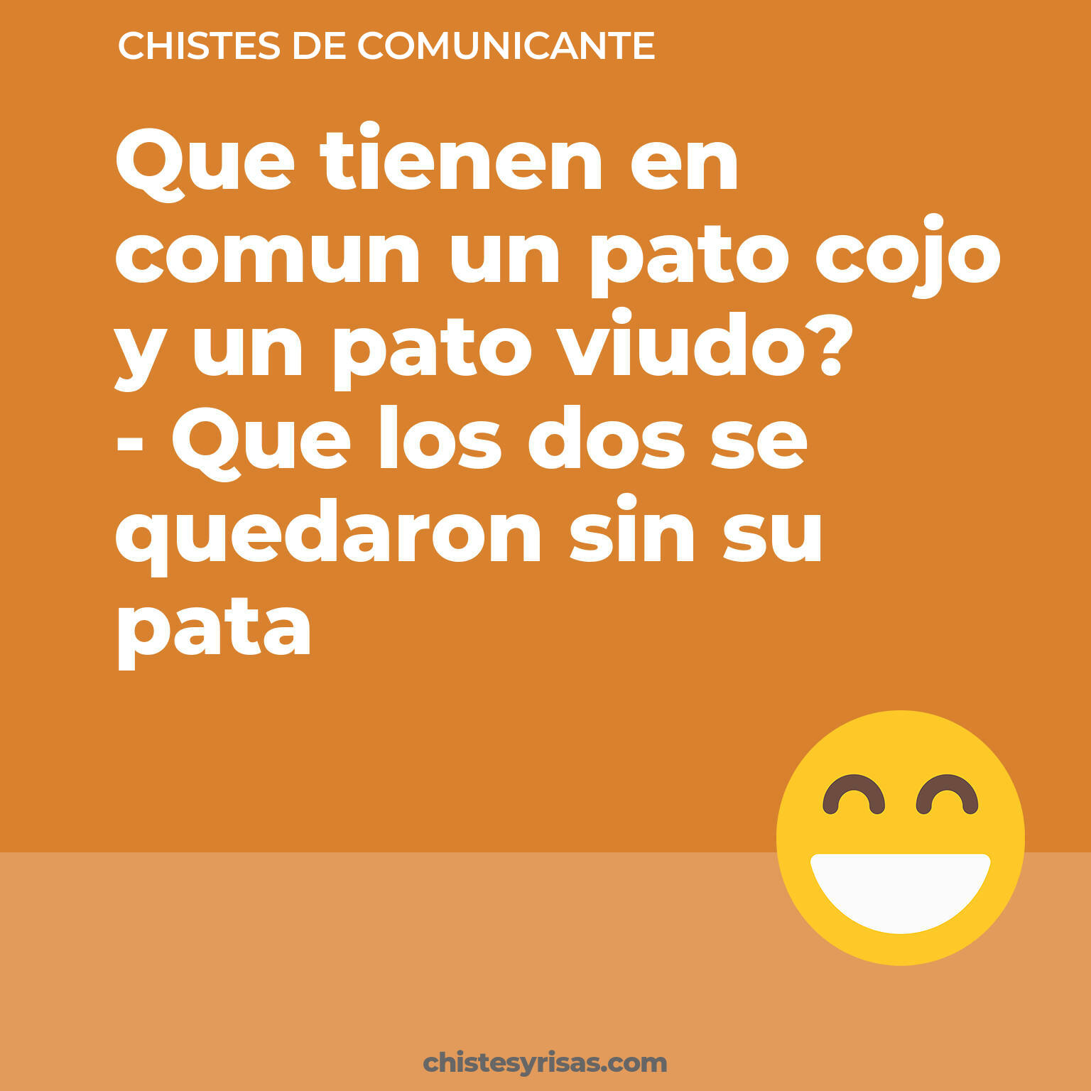 chistes de Comunicante cortos