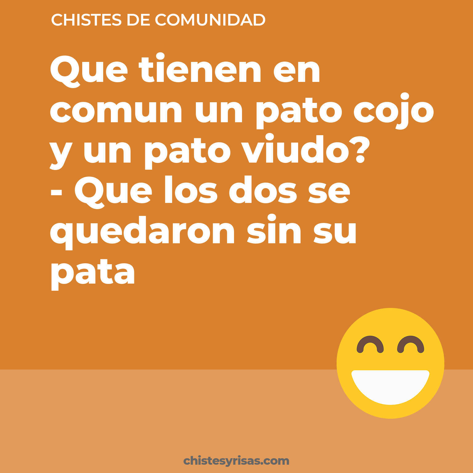 chistes de Comunidad cortos