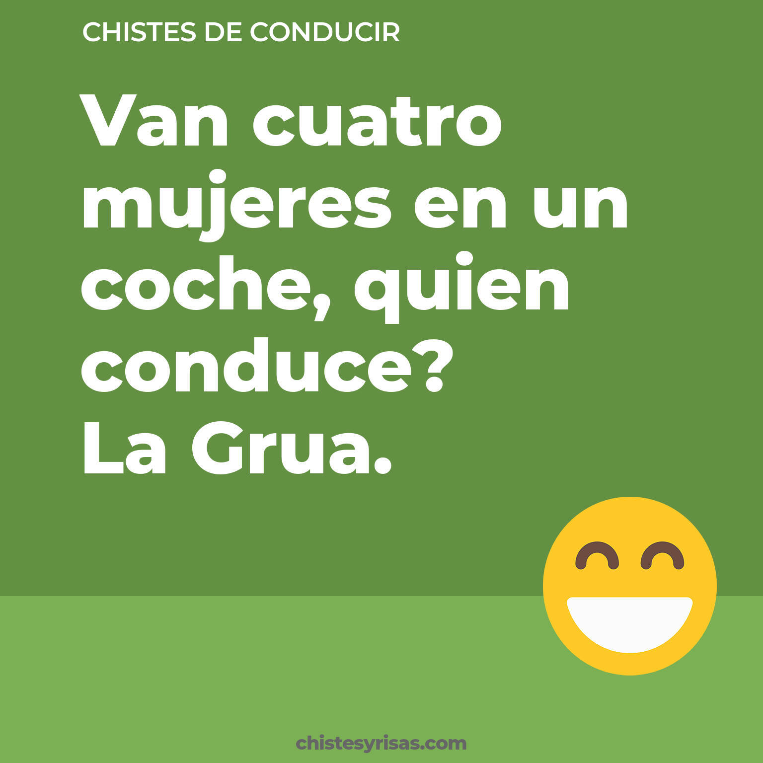 chistes de Conducir más graciosos