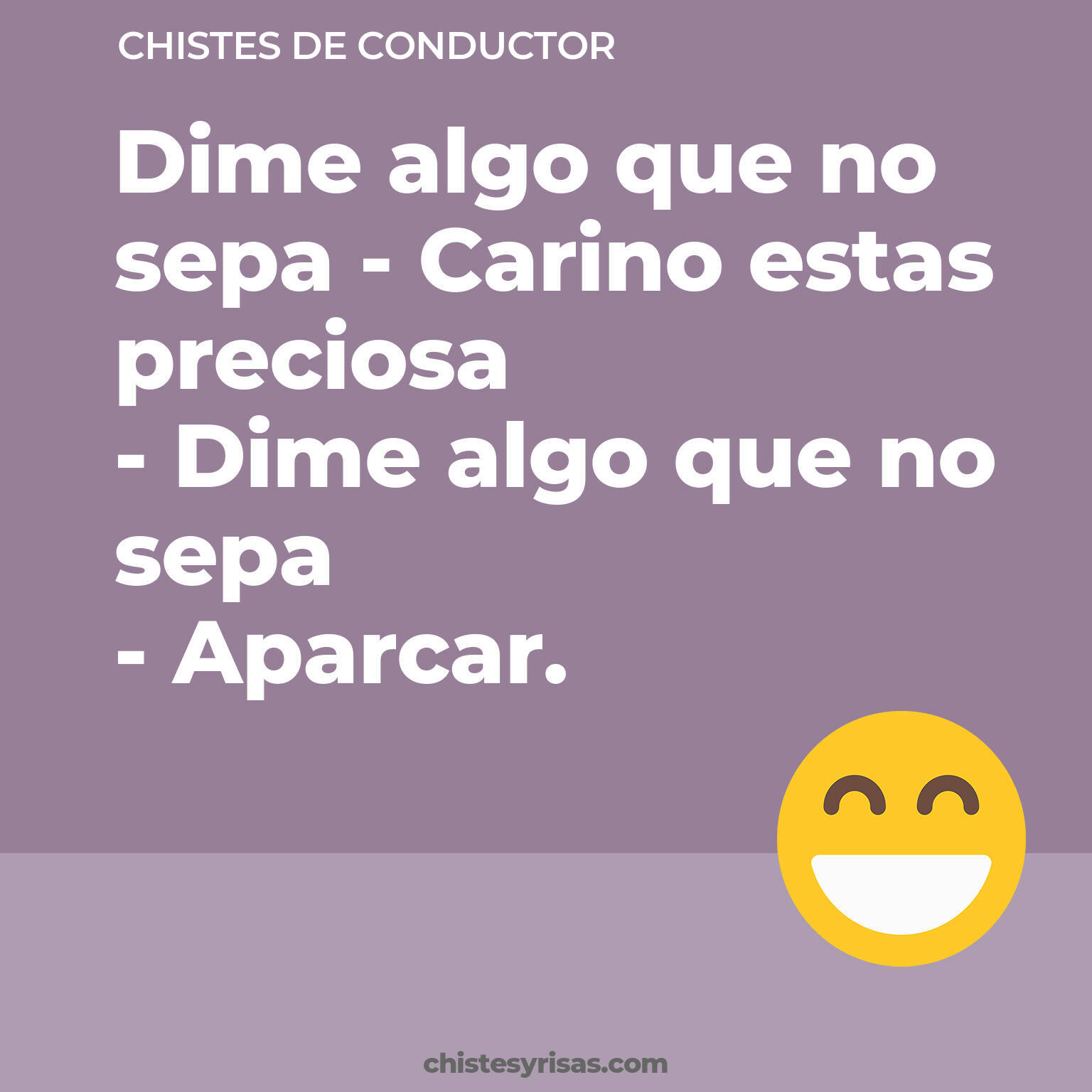 chistes de Conductor más graciosos