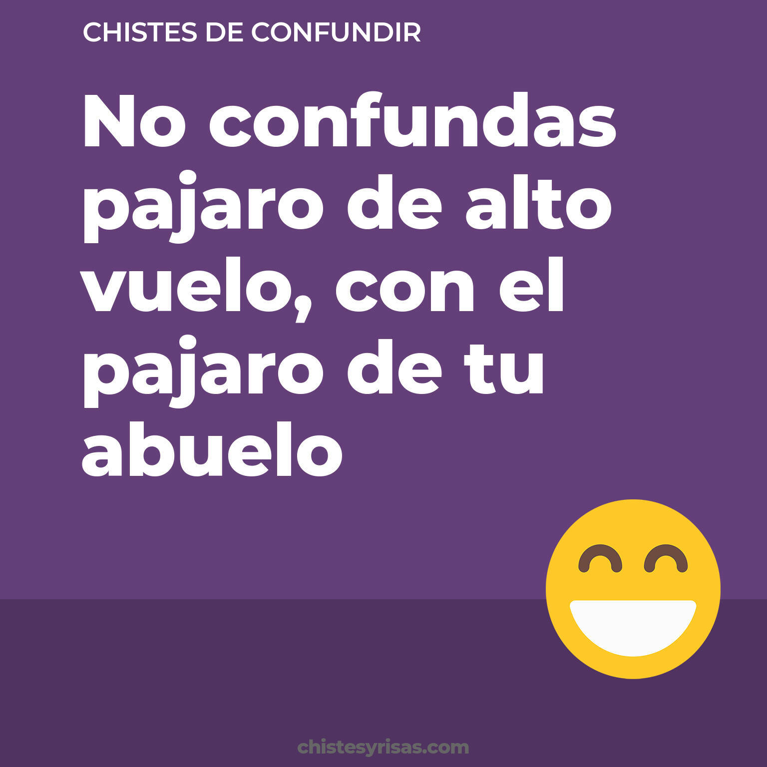 chistes de Confundir buenos