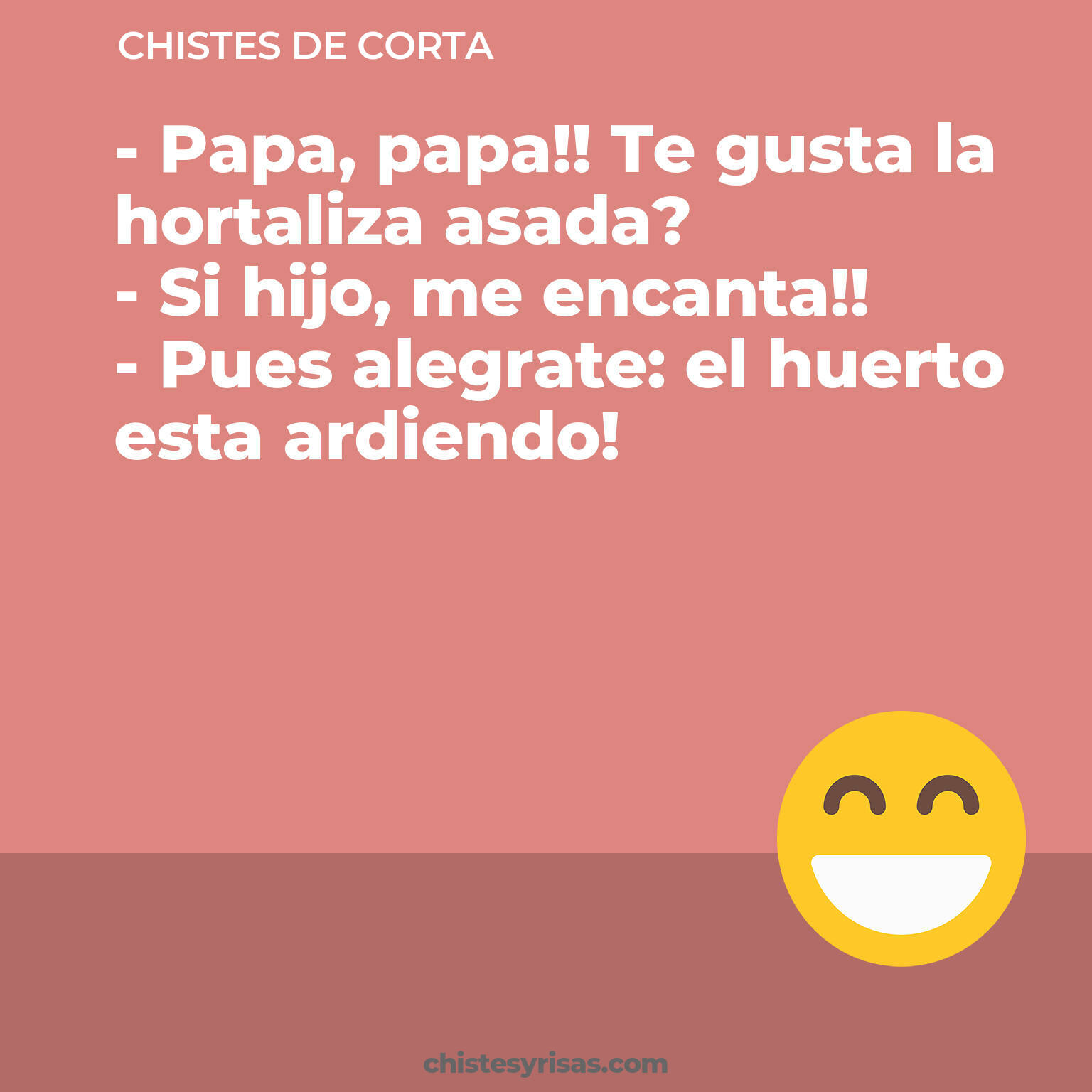 chistes de Corta cortos