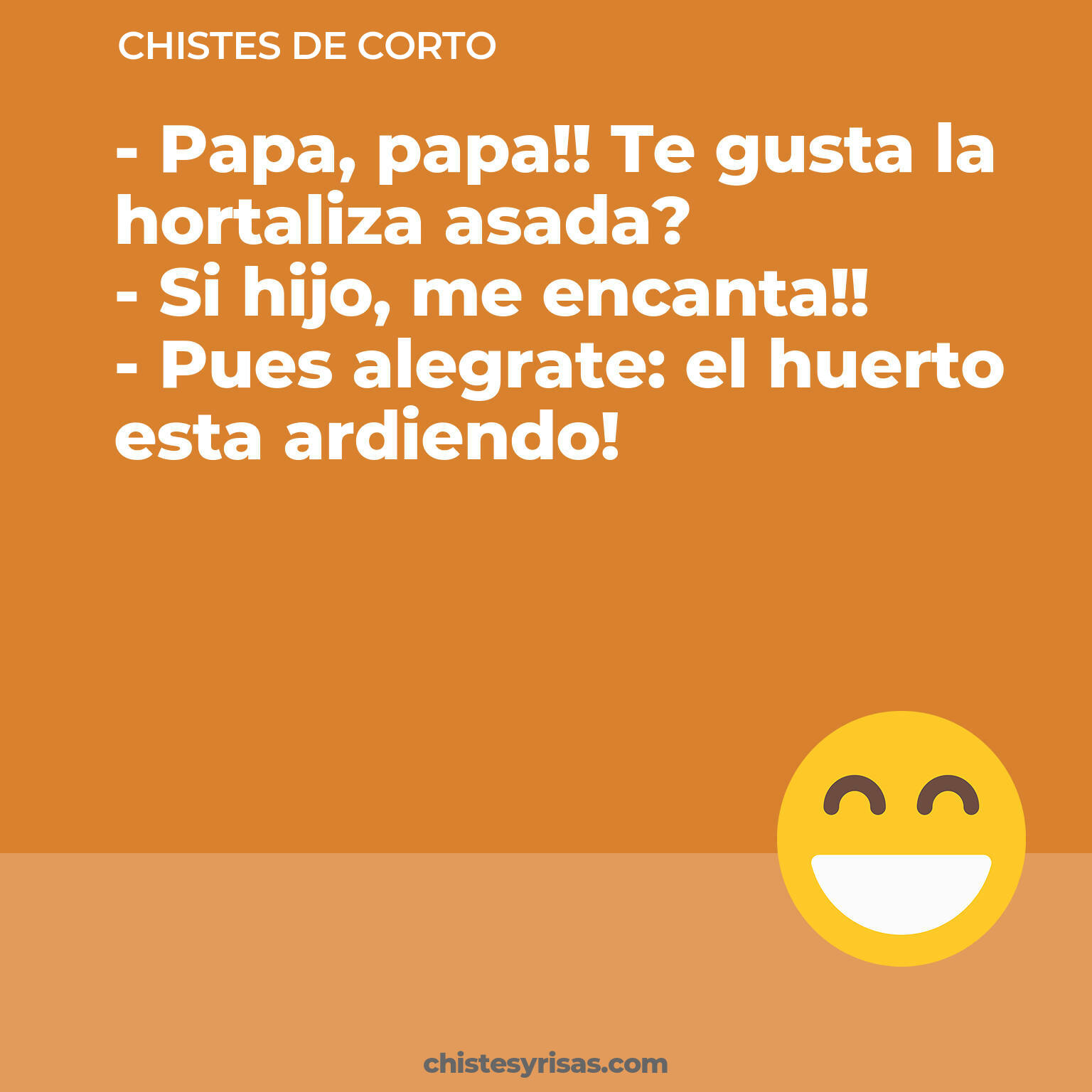 chistes de Corto cortos