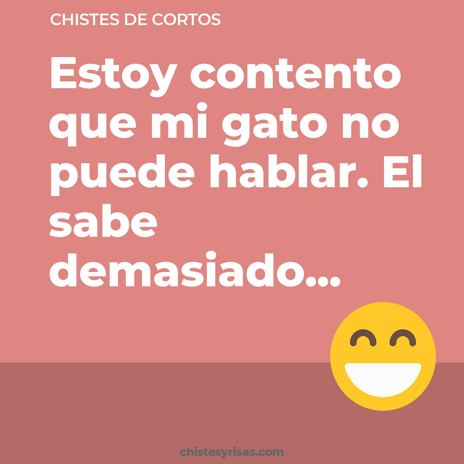 chistes de Cortos buenos