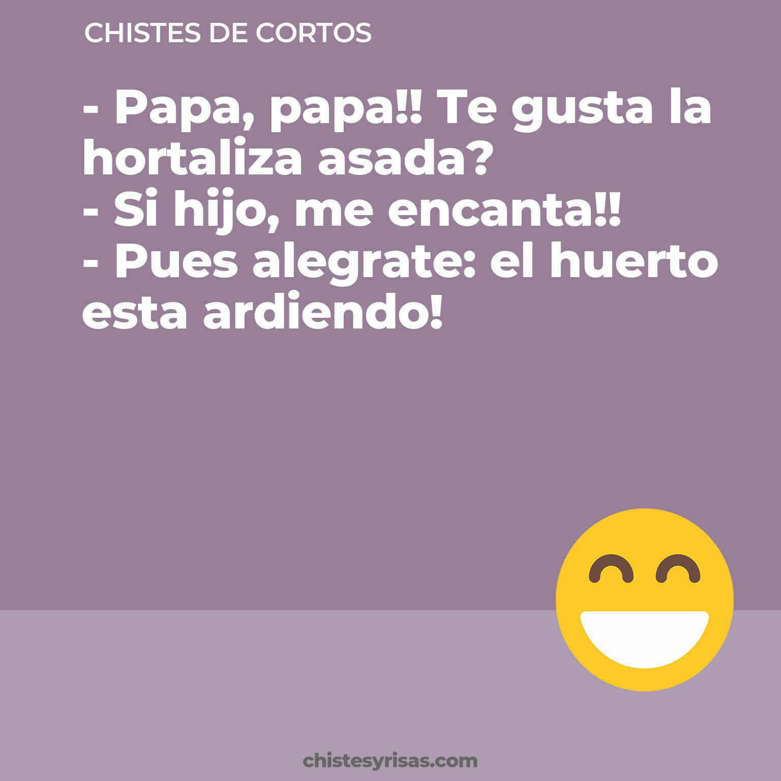 chistes de Cortos cortos