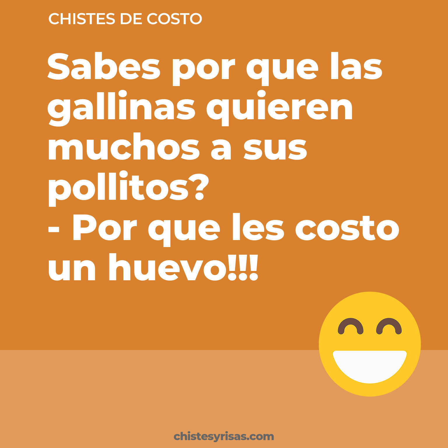 chistes de Costo cortos