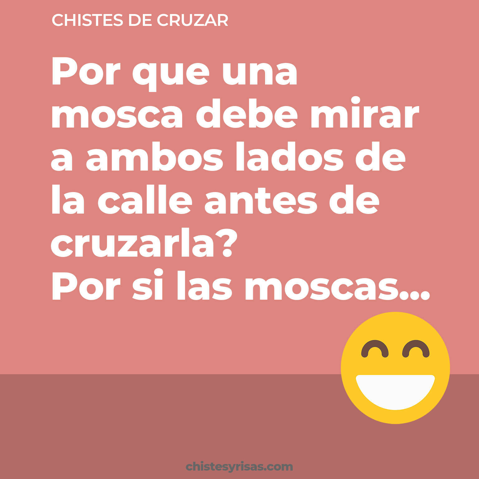 chistes de Cruzar más graciosos