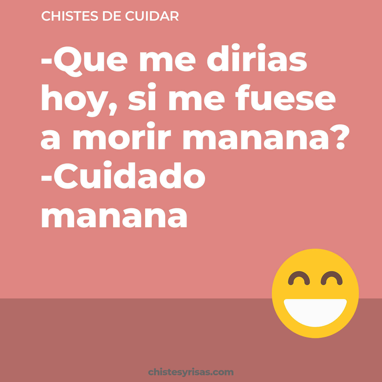 chistes de Cuidar cortos