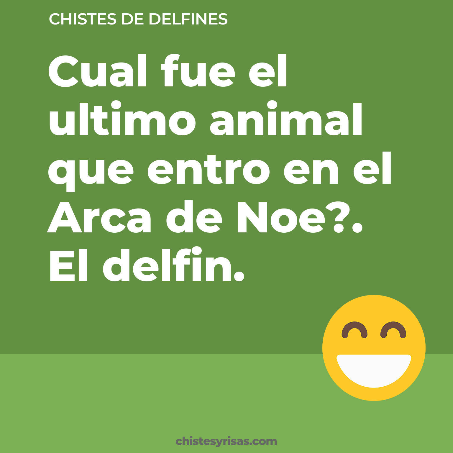 chistes de Delfines más graciosos