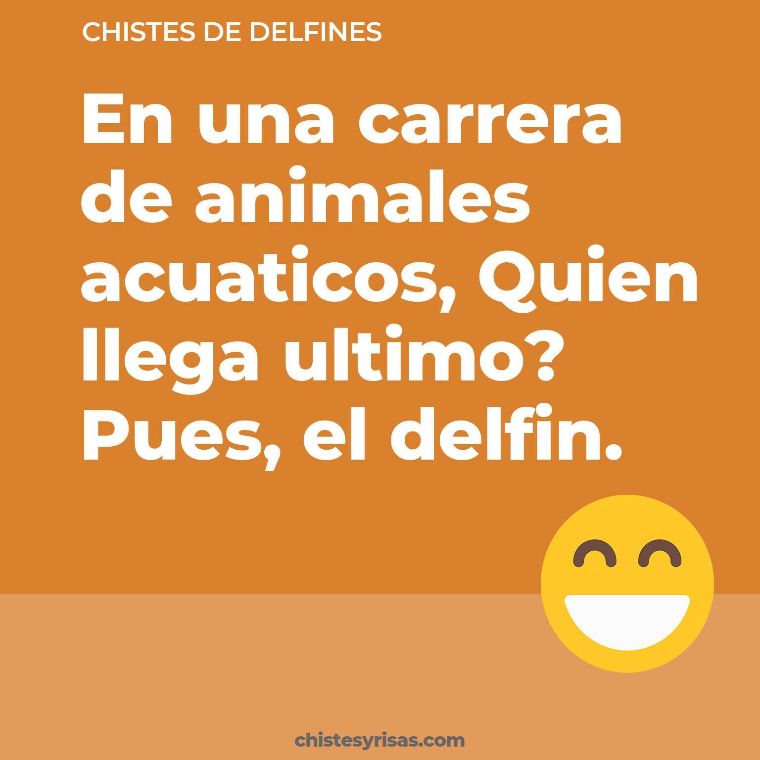 chistes de Delfines cortos